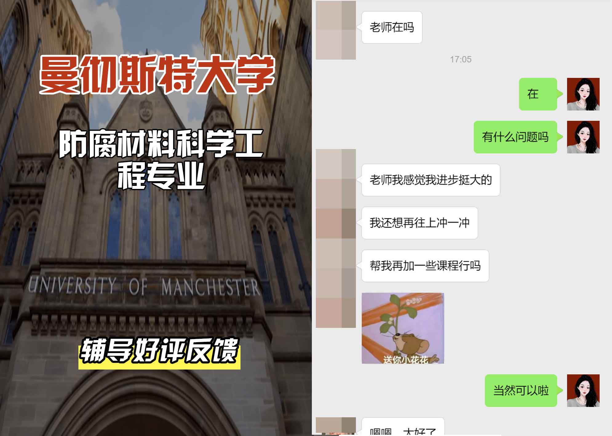 曼彻斯特大学曼大防腐材料科学工程辅导好评反馈