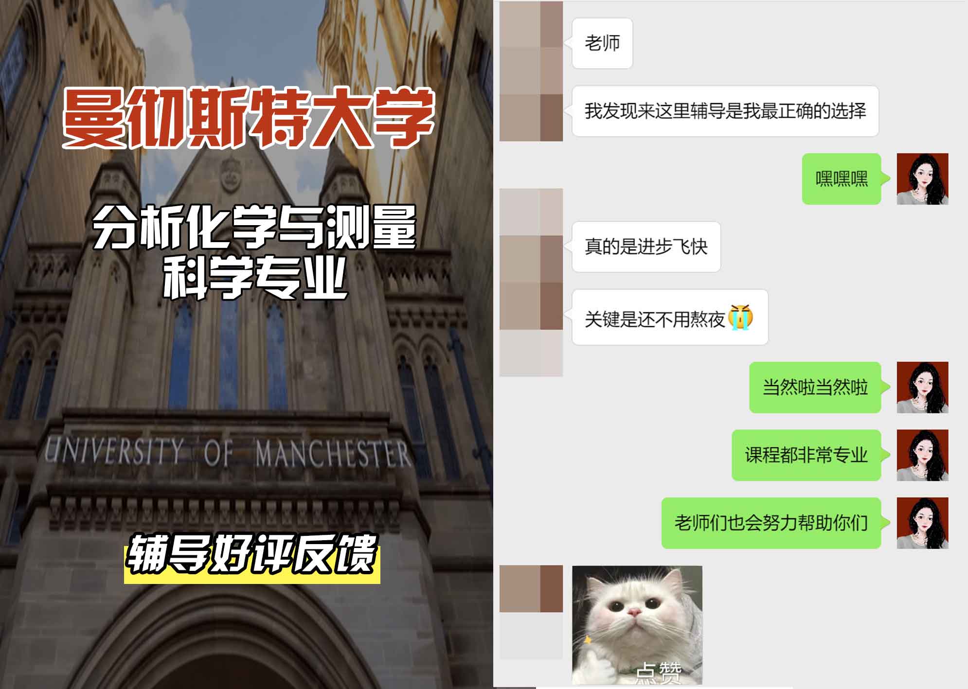 曼彻斯特大学曼大分析化学与测量科学辅导好评反馈