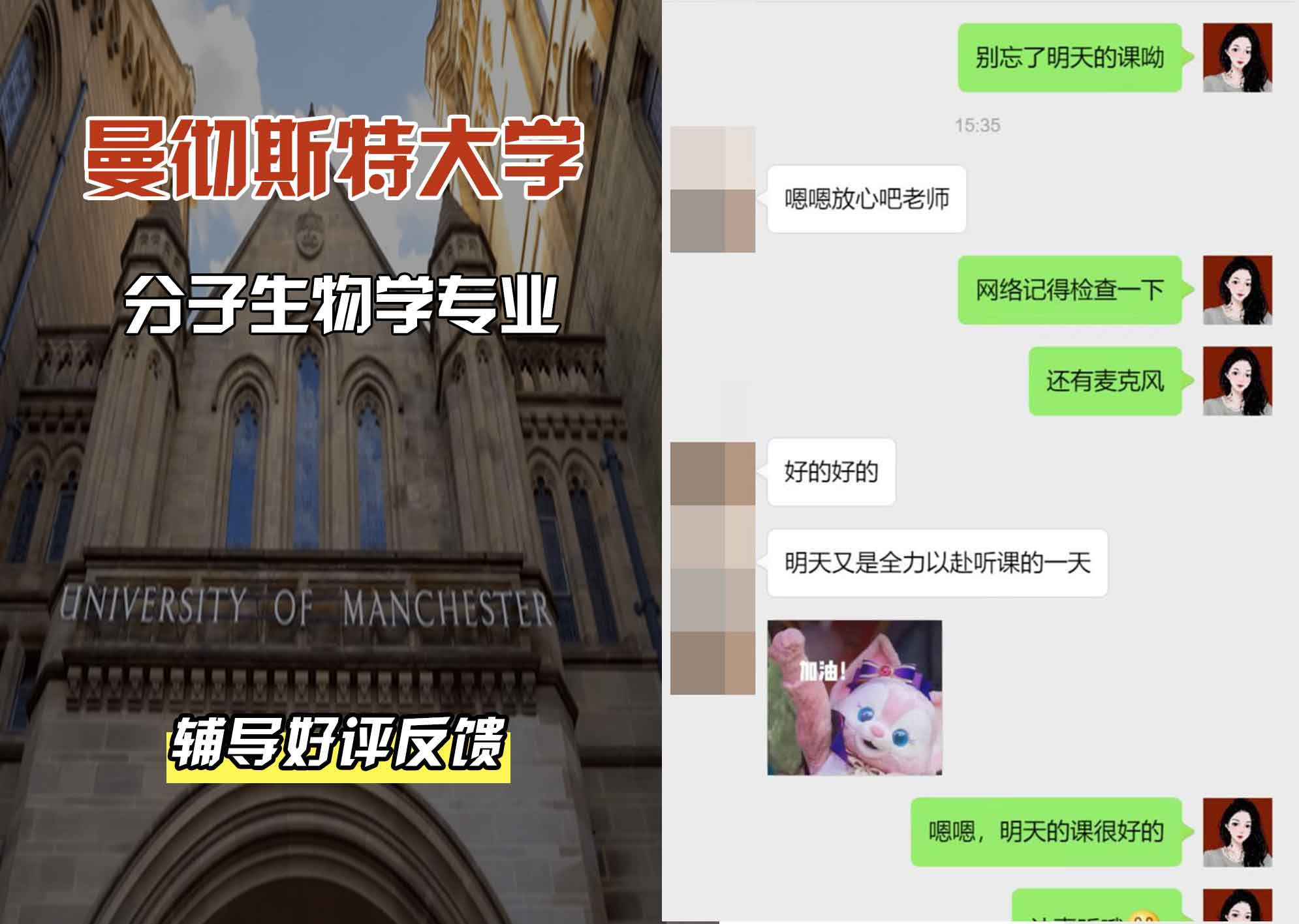 曼彻斯特大学曼大分子生物学辅导好评反馈