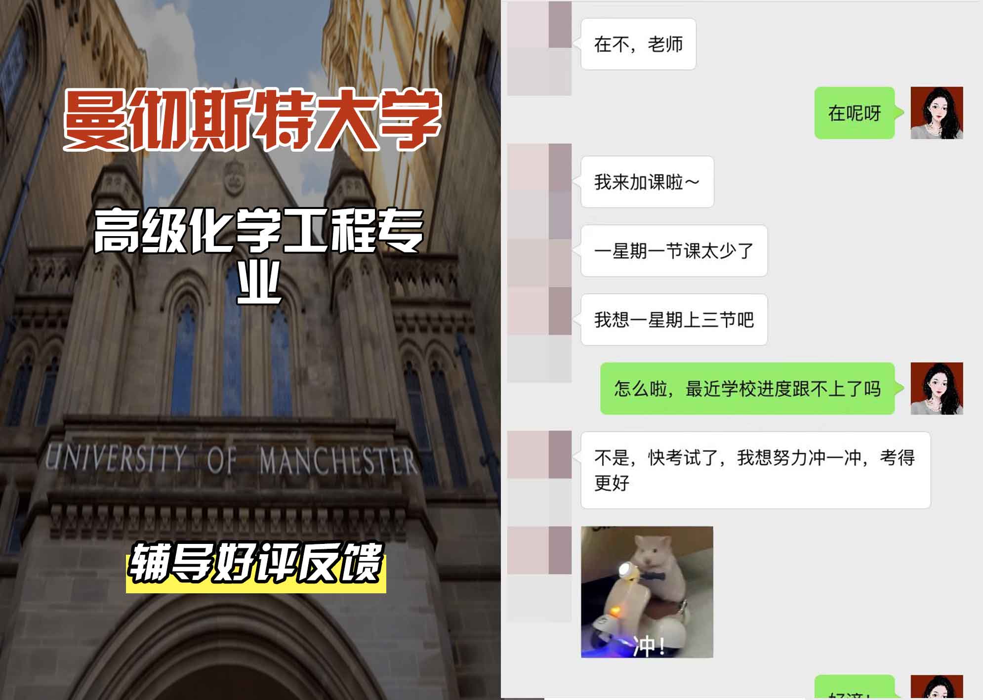 曼彻斯特大学曼大高级化学工程辅导好评反馈