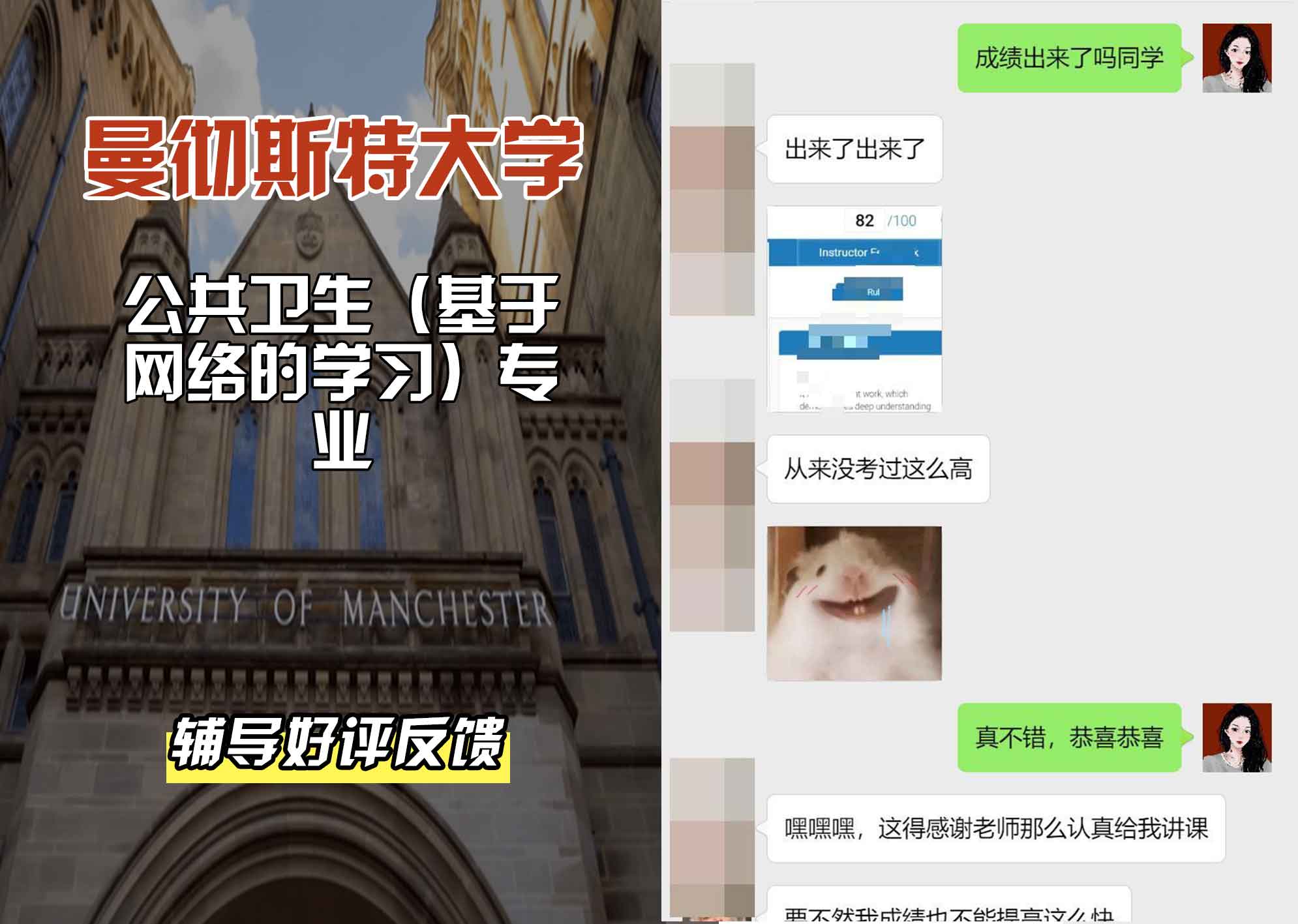 曼彻斯特大学曼大公共卫生（基于网络的学习）辅导好评反馈