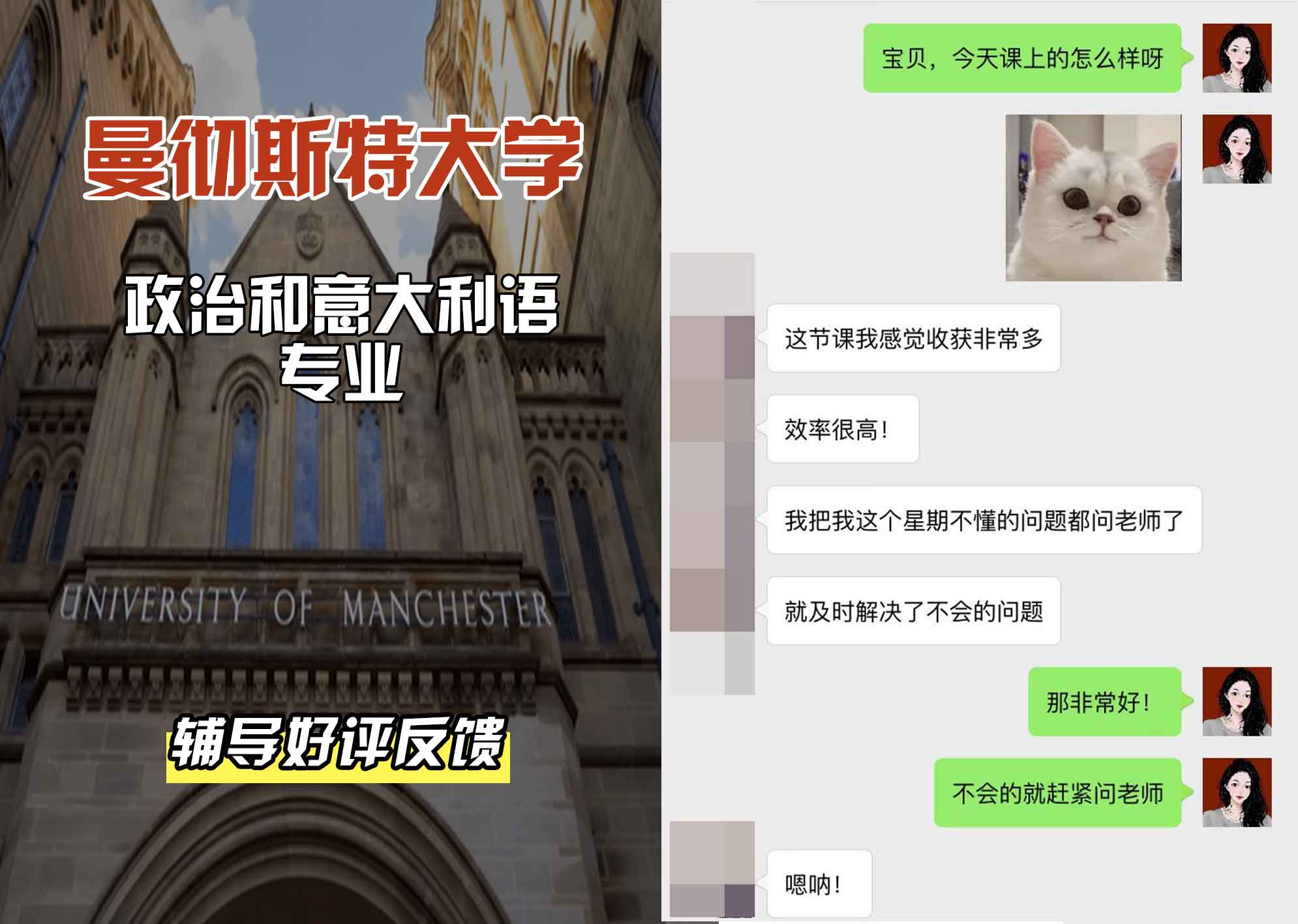 曼彻斯特大学曼大政治和意大利语辅导好评反馈