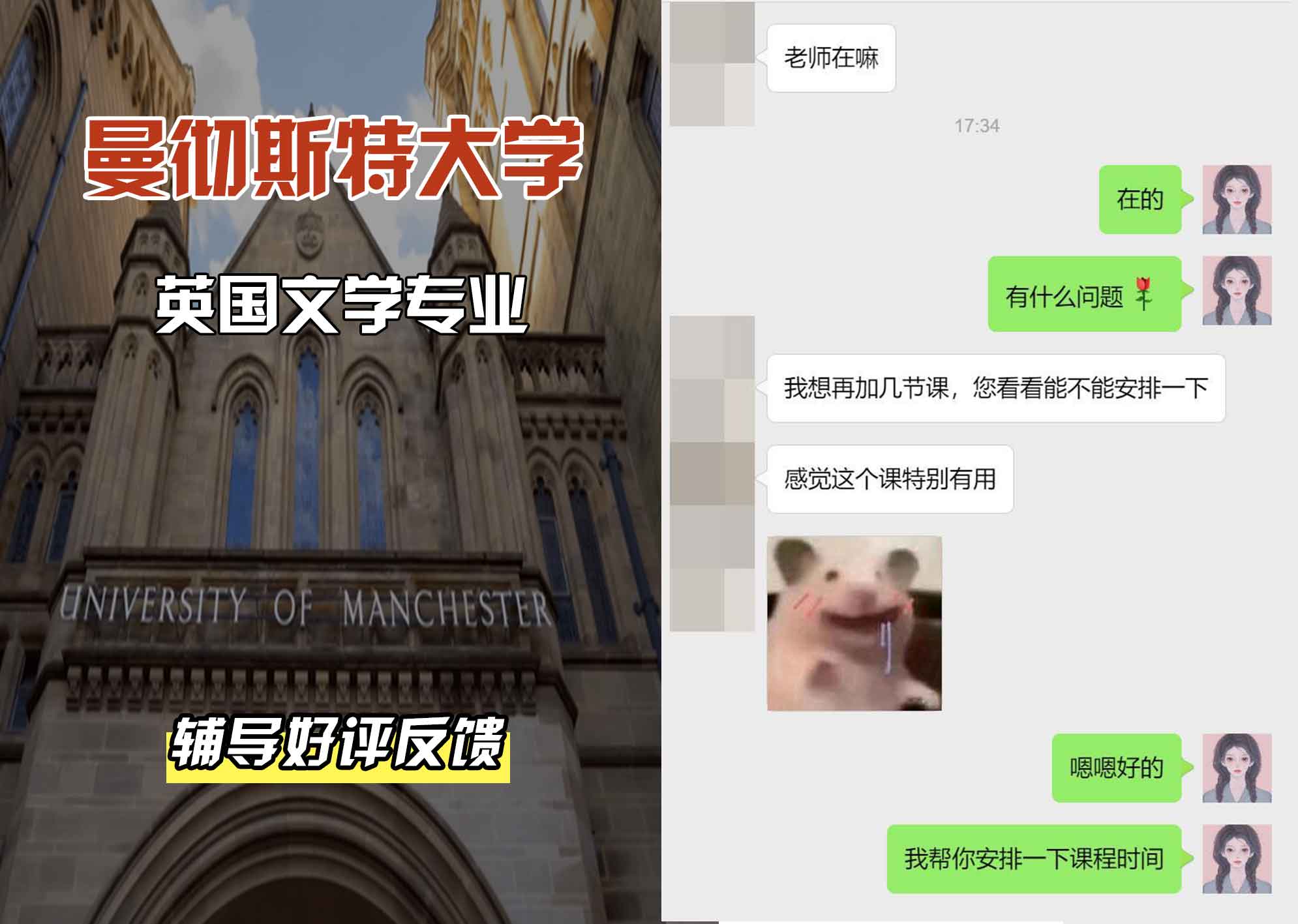 曼彻斯特大学曼大英国文学辅导好评反馈
