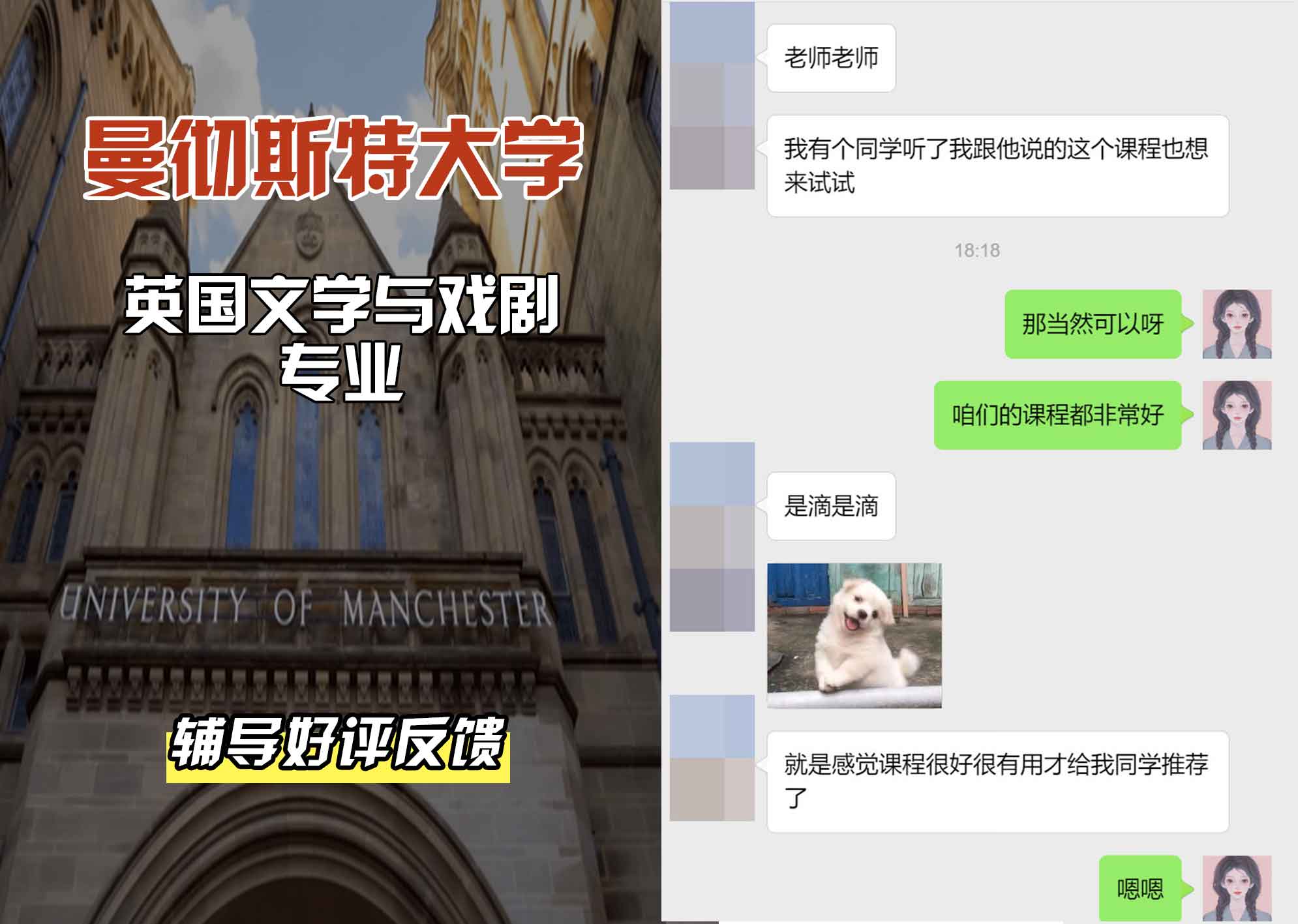 曼彻斯特大学曼大英国文学与戏剧辅导好评反馈