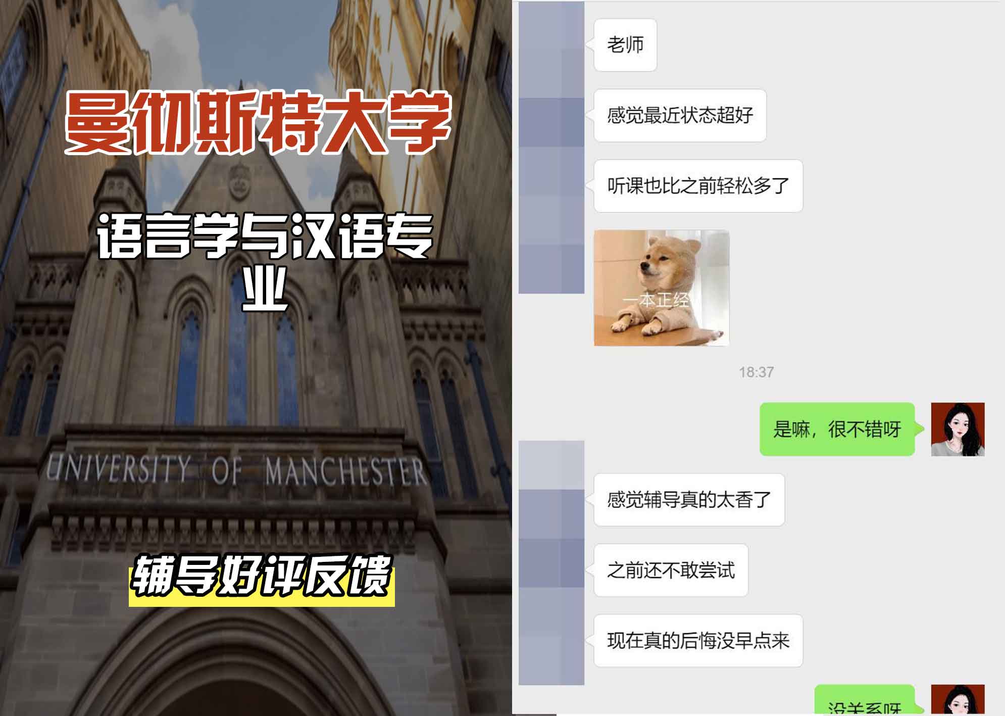 曼彻斯特大学曼大语言学与汉语辅导好评反馈