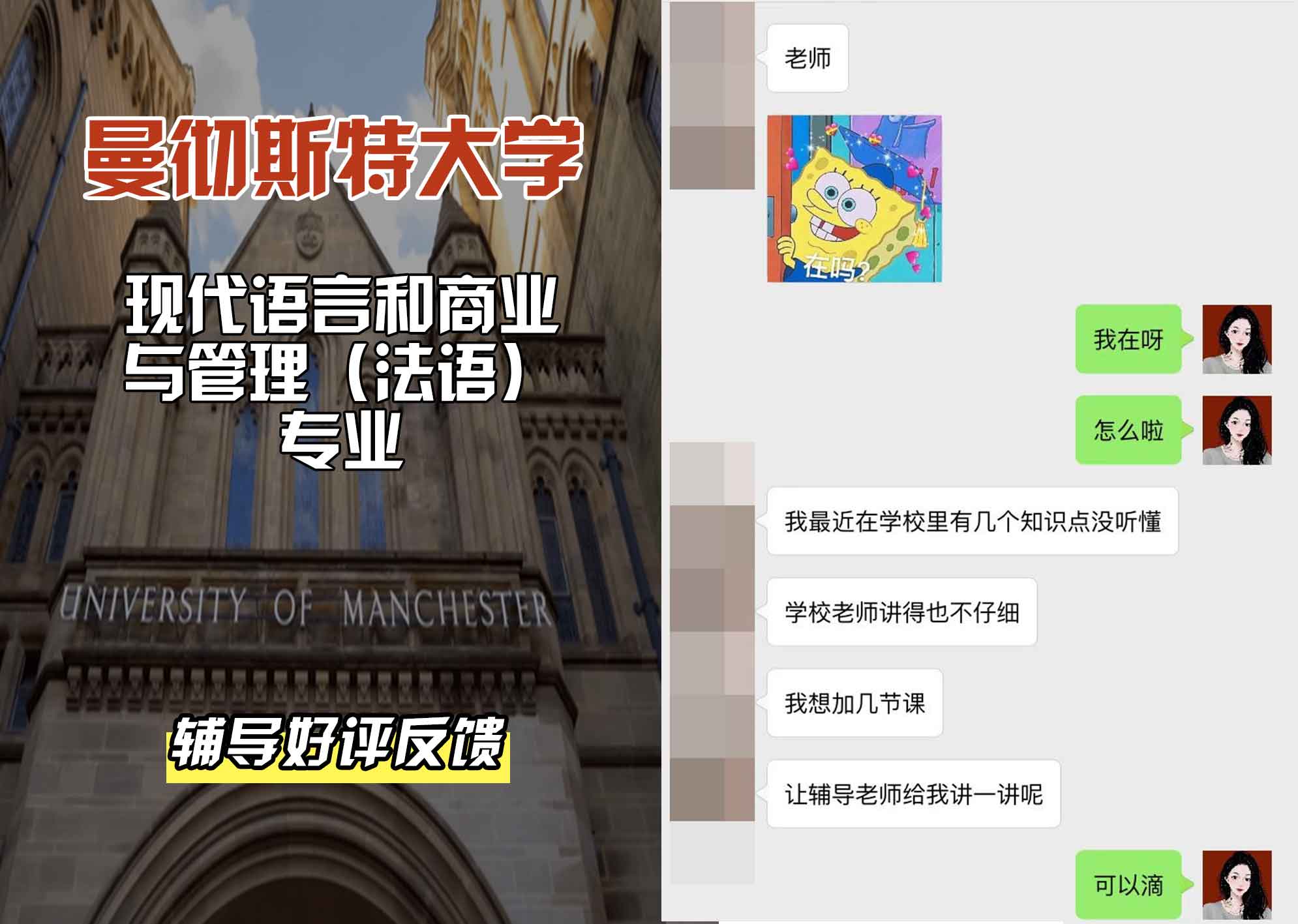 曼彻斯特大学曼大现代语言和商业与管理（法语）辅导好评反馈