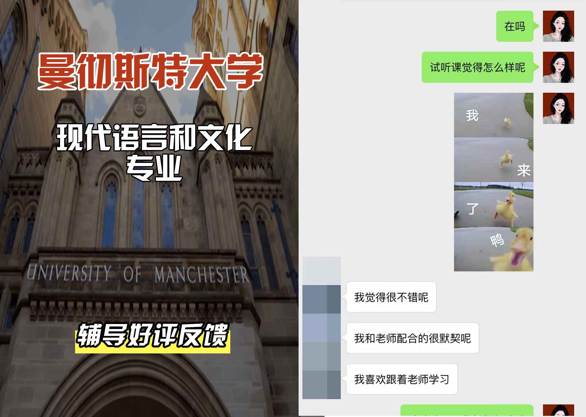 曼彻斯特大学曼大现代语言和文化辅导好评反馈