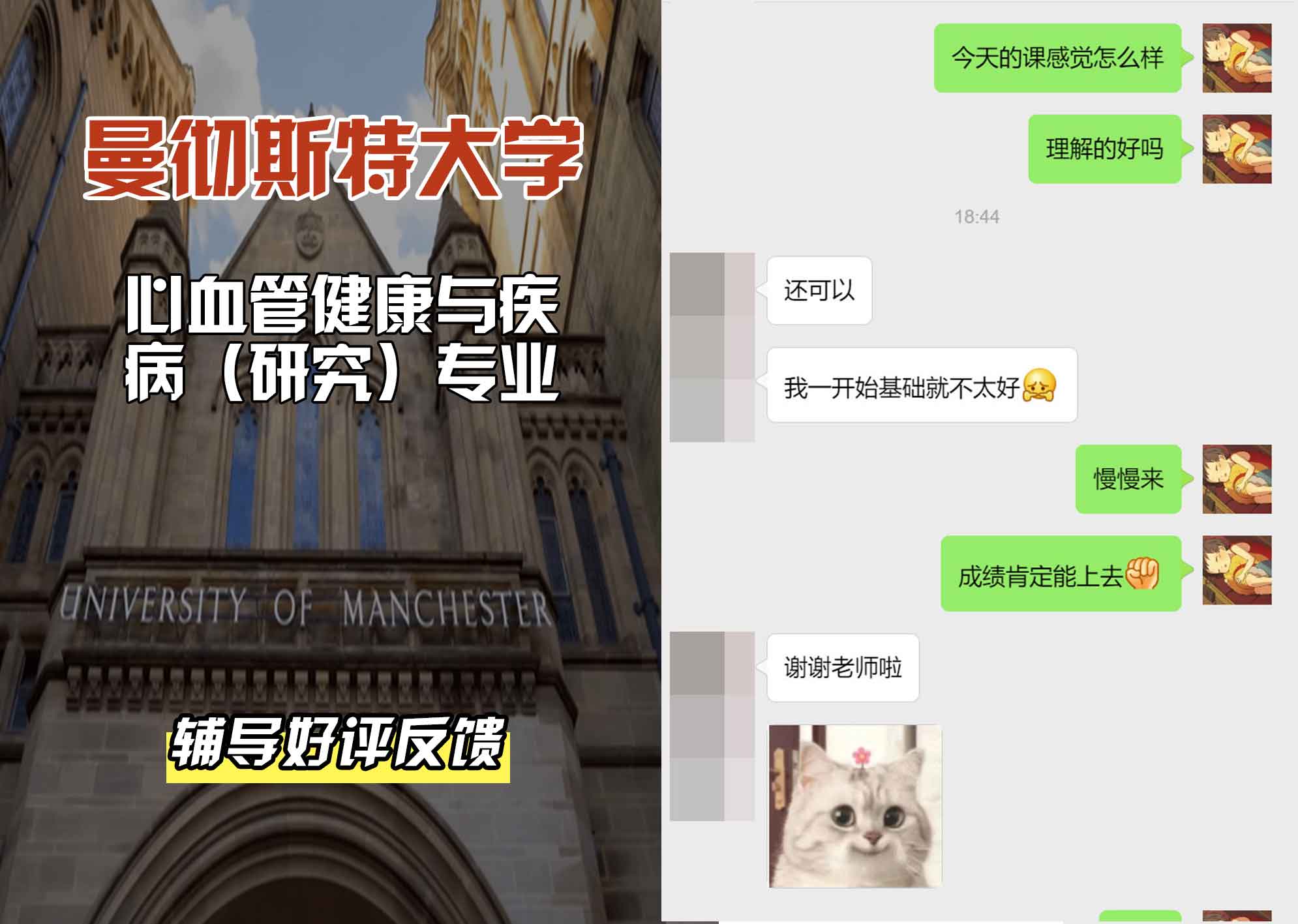 曼彻斯特大学曼大心血管健康与疾病（研究）辅导好评反馈