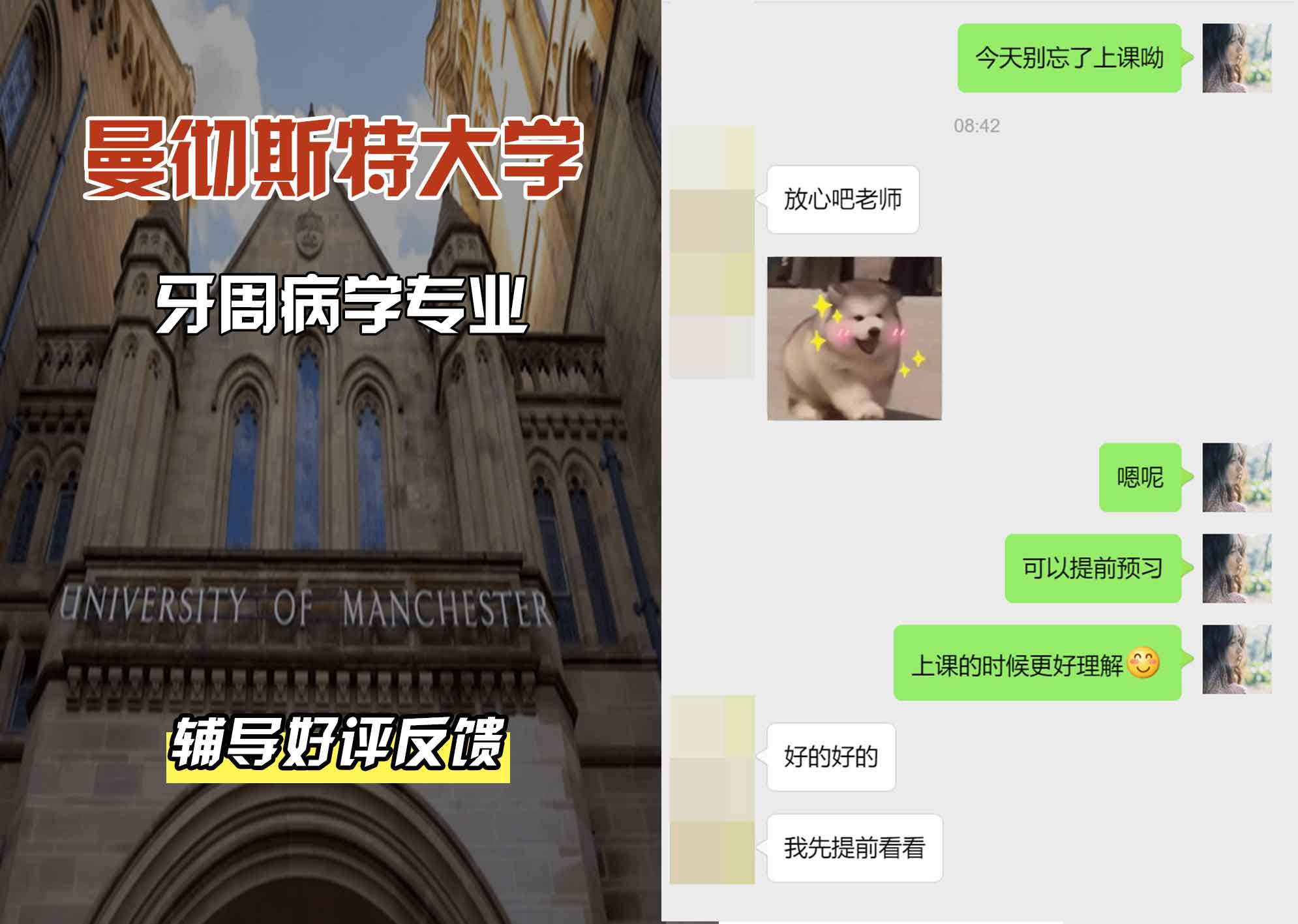 曼彻斯特大学曼大牙周病学辅导好评反馈