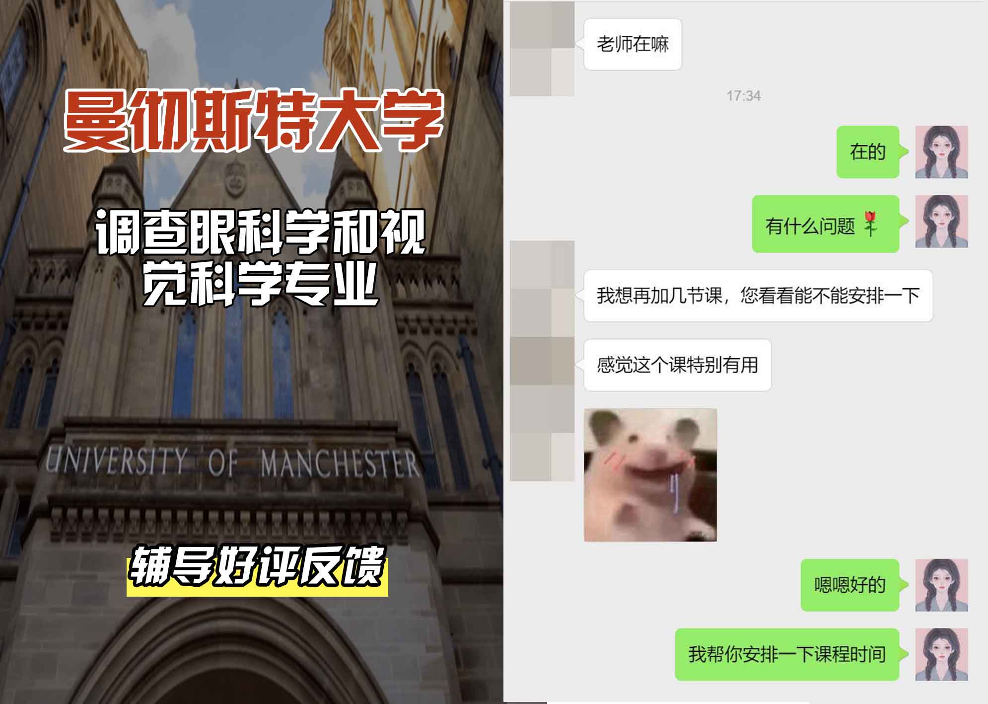 曼彻斯特大学曼大调查眼科学和视觉科学辅导好评反馈