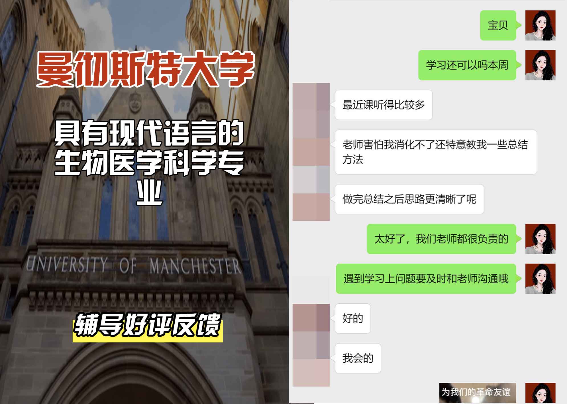 曼彻斯特大学曼大具有现代语言的生物医学科学辅导好评反馈