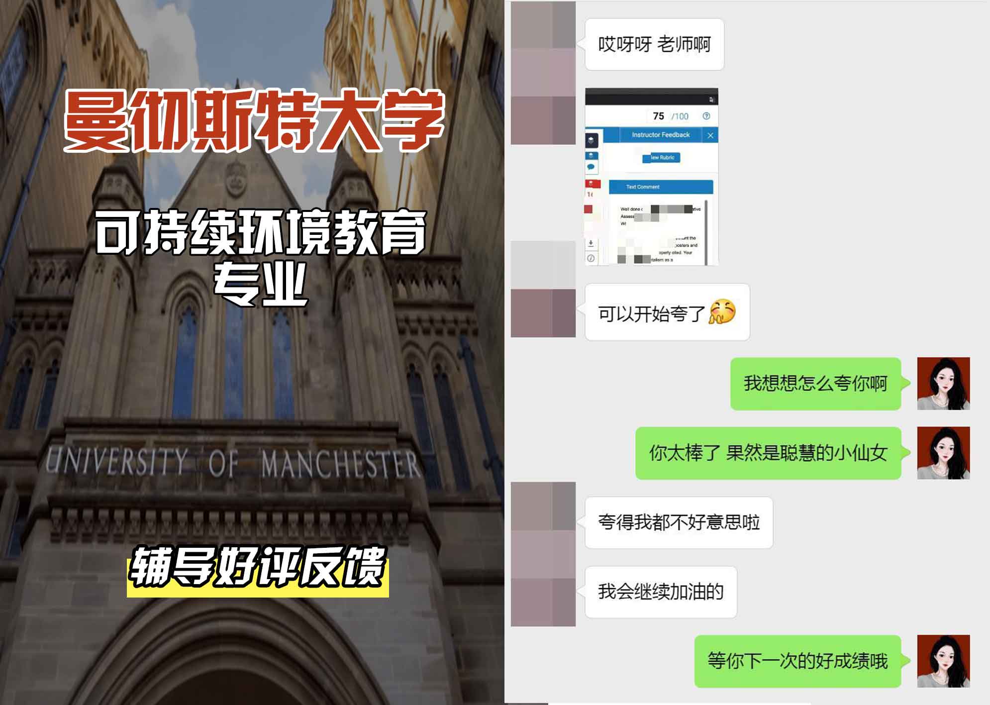 曼彻斯特大学曼大可持续环境教育辅导好评反馈