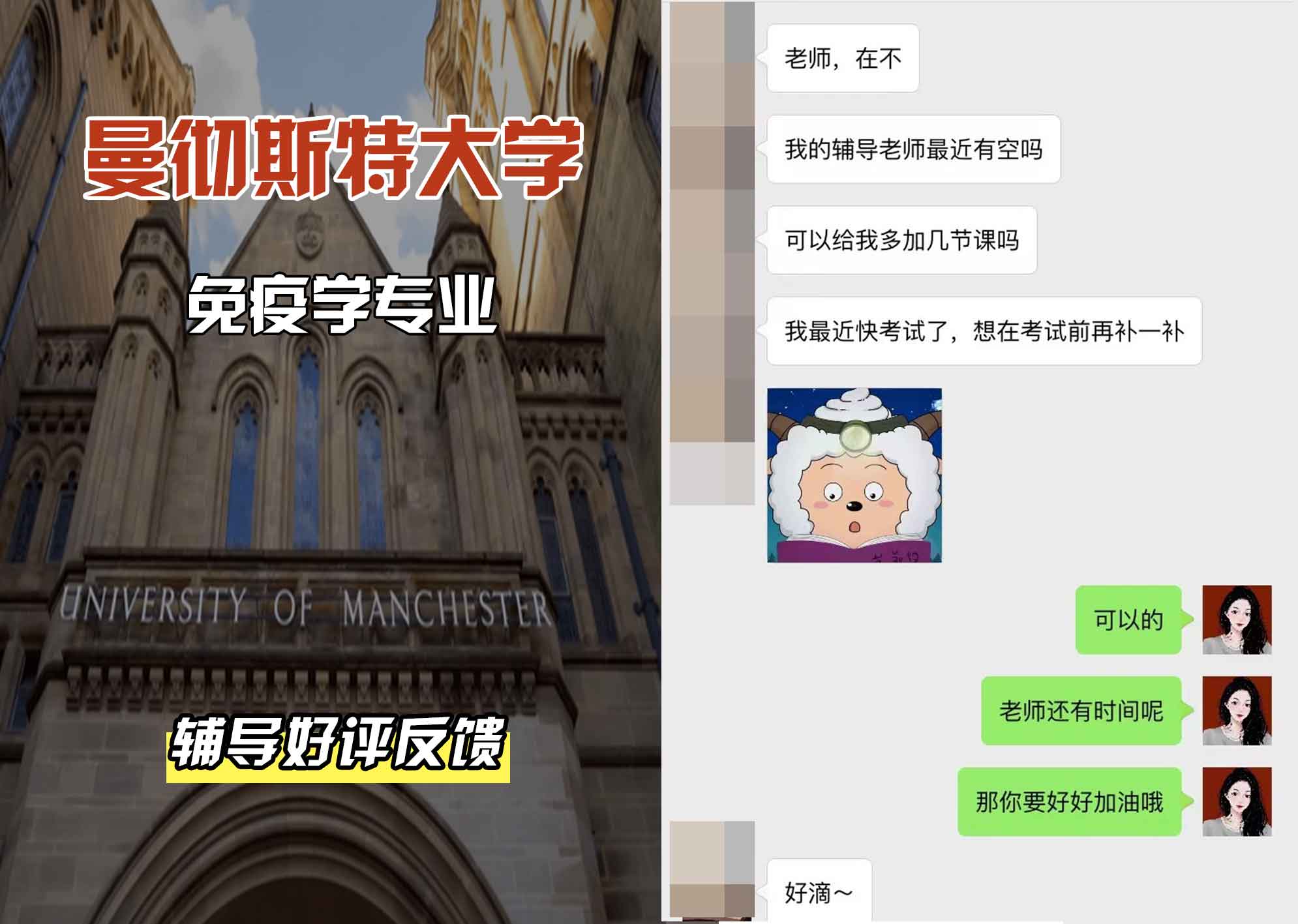 曼彻斯特大学曼大免疫学辅导好评反馈
