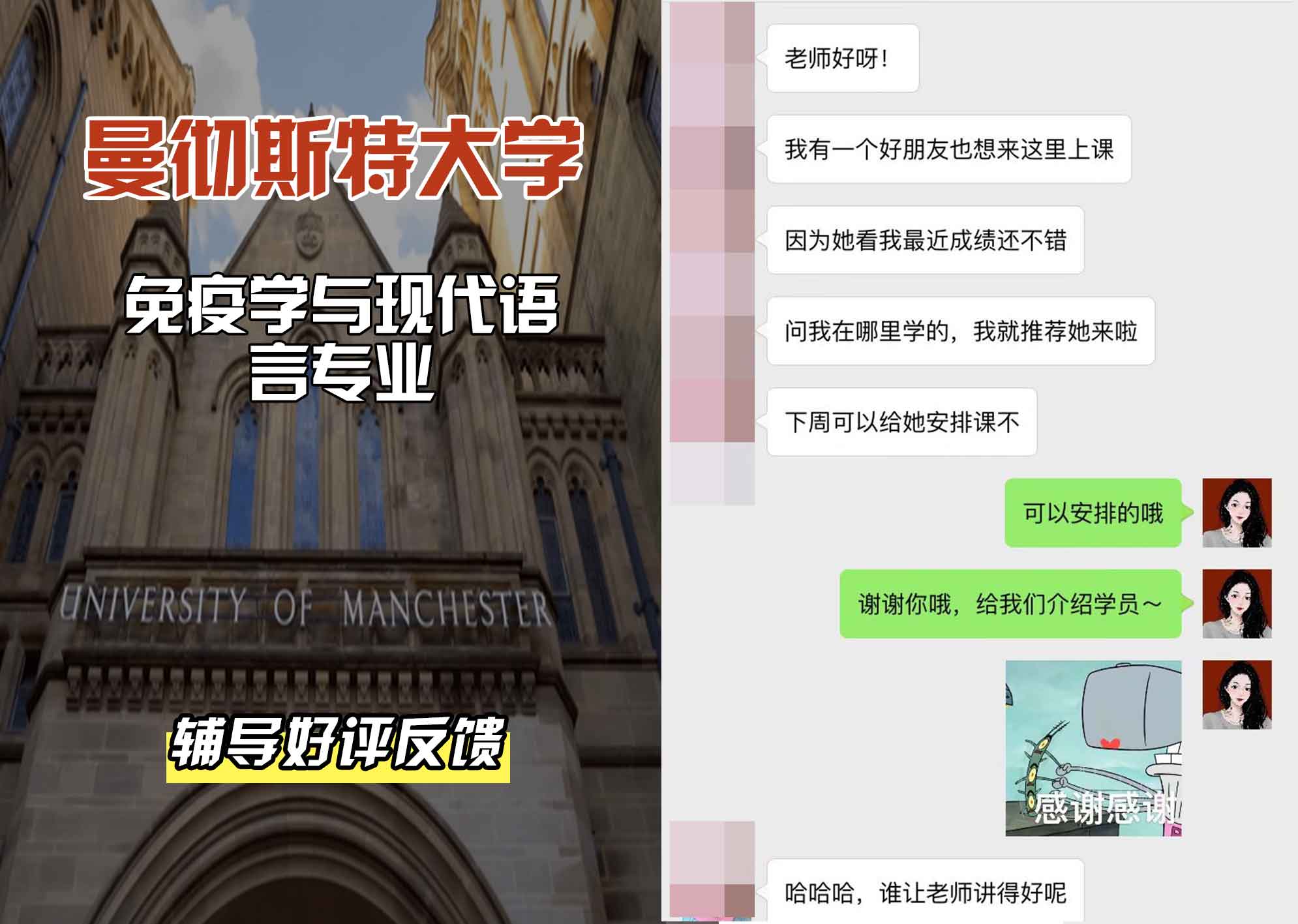 曼彻斯特大学曼大免疫学与现代语言辅导好评反馈