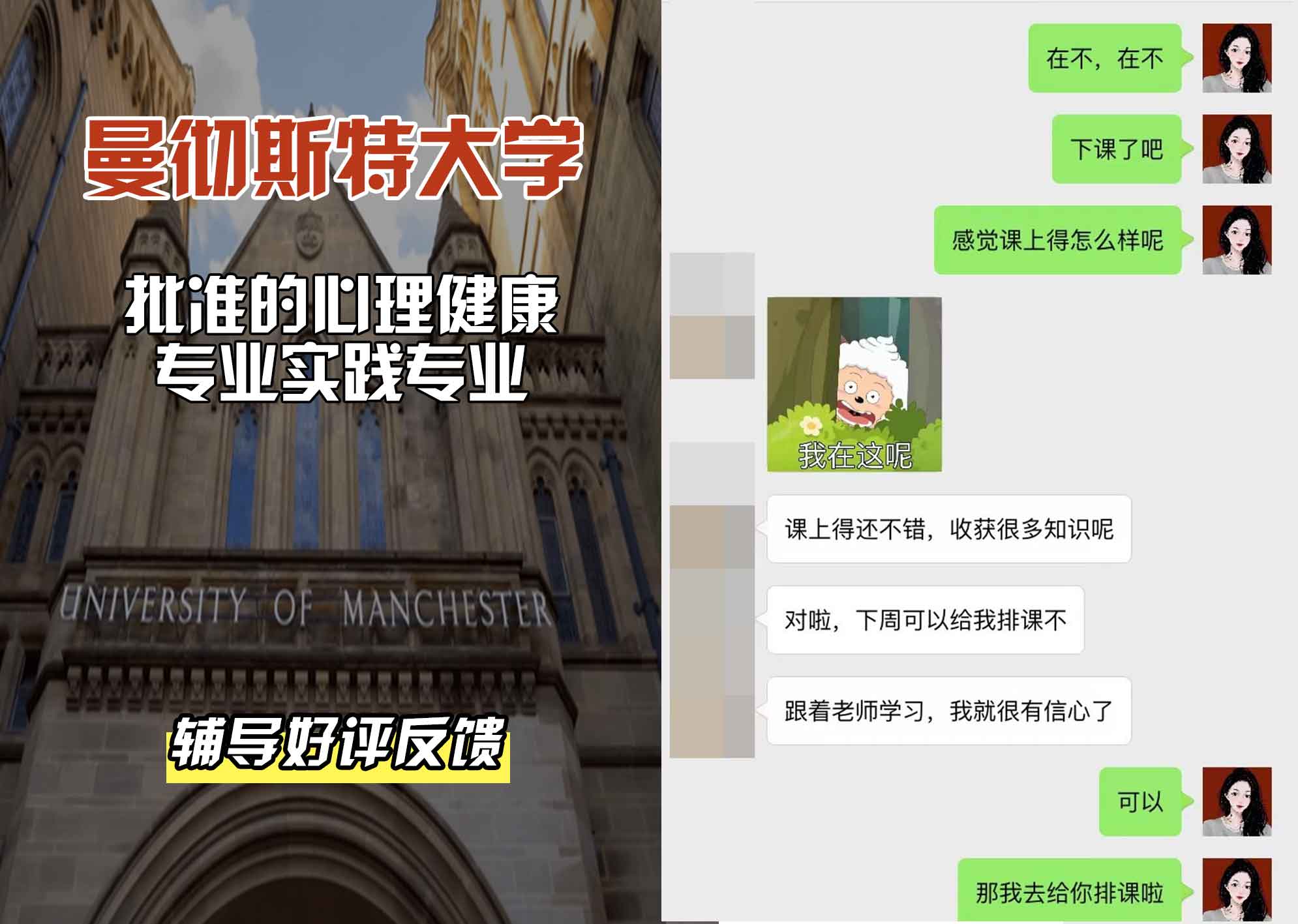 曼彻斯特大学曼大批准的心理健康专业实践辅导好评反馈
