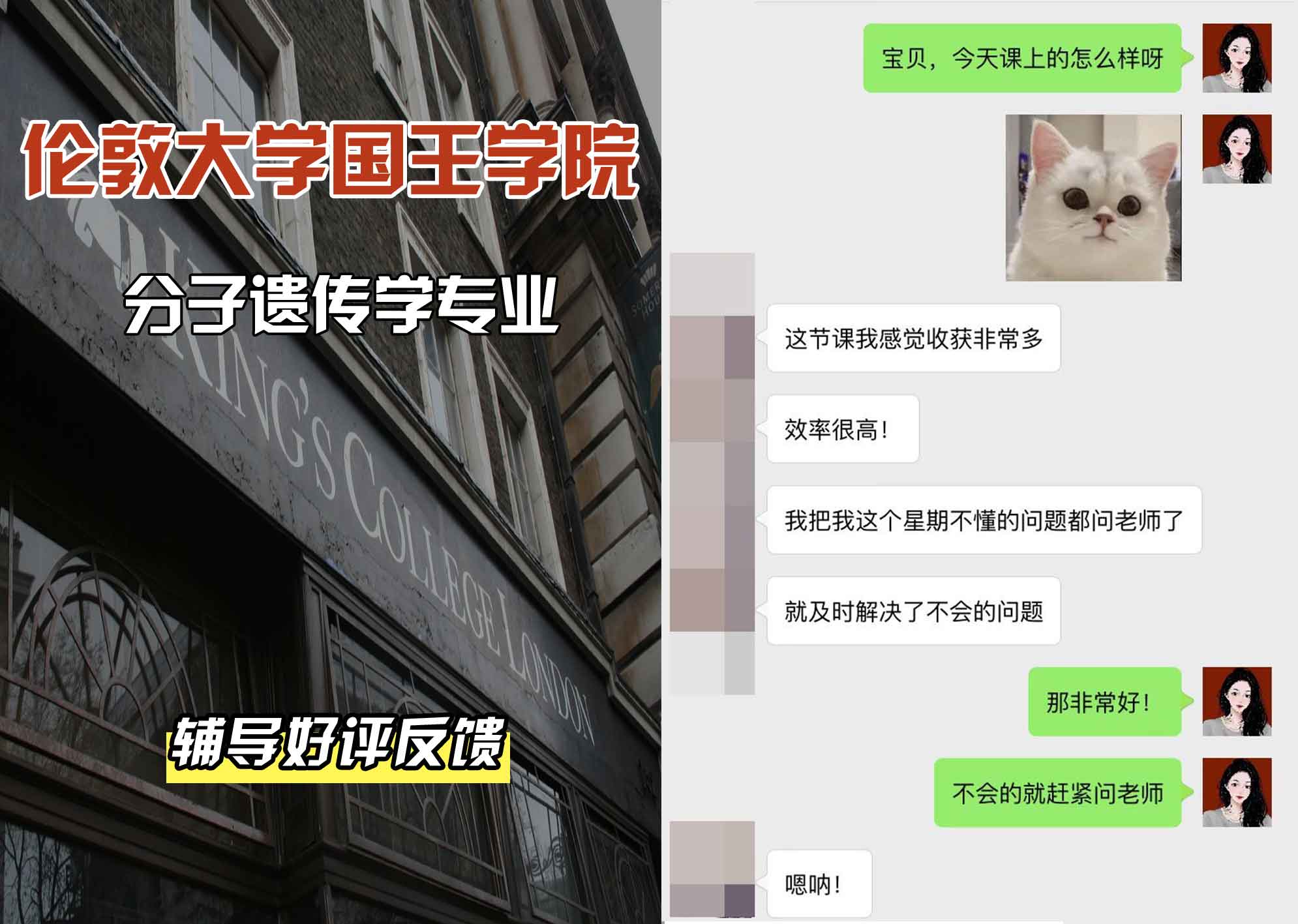 国王学院KCL分子遗传学辅导好评反馈