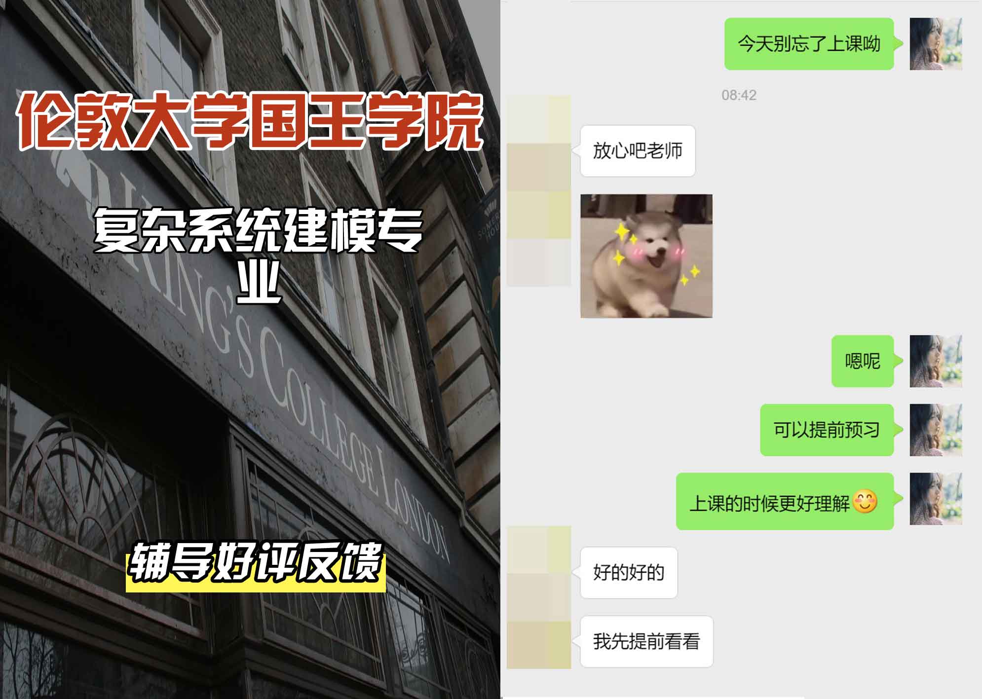 国王学院KCL复杂系统建模辅导好评反馈