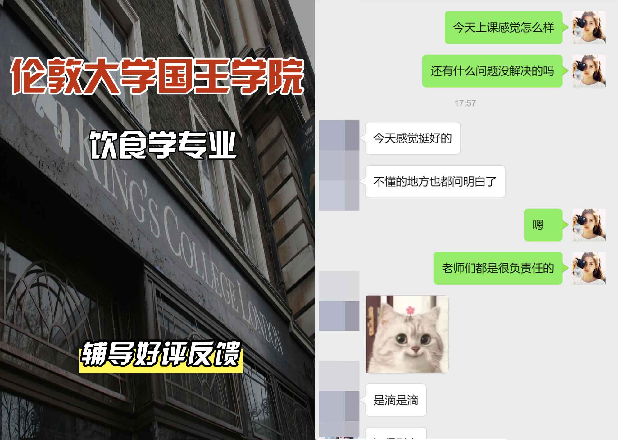 国王学院KCL饮食学辅导好评反馈