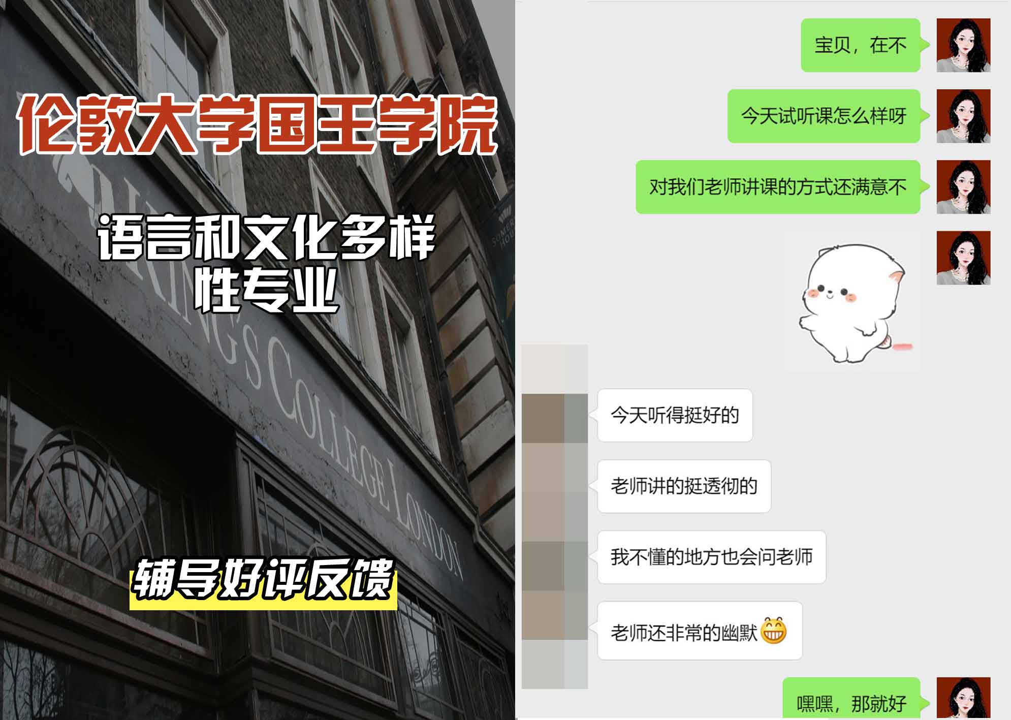 国王学院KCL语言和文化多样性辅导好评反馈