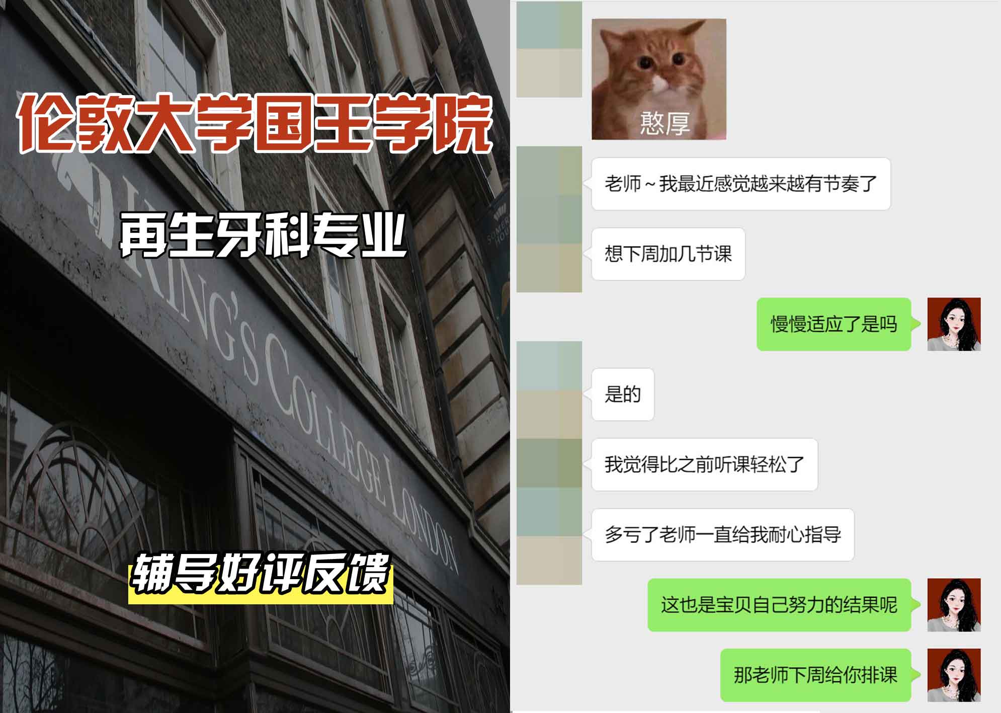 国王学院KCL再生牙科辅导好评反馈