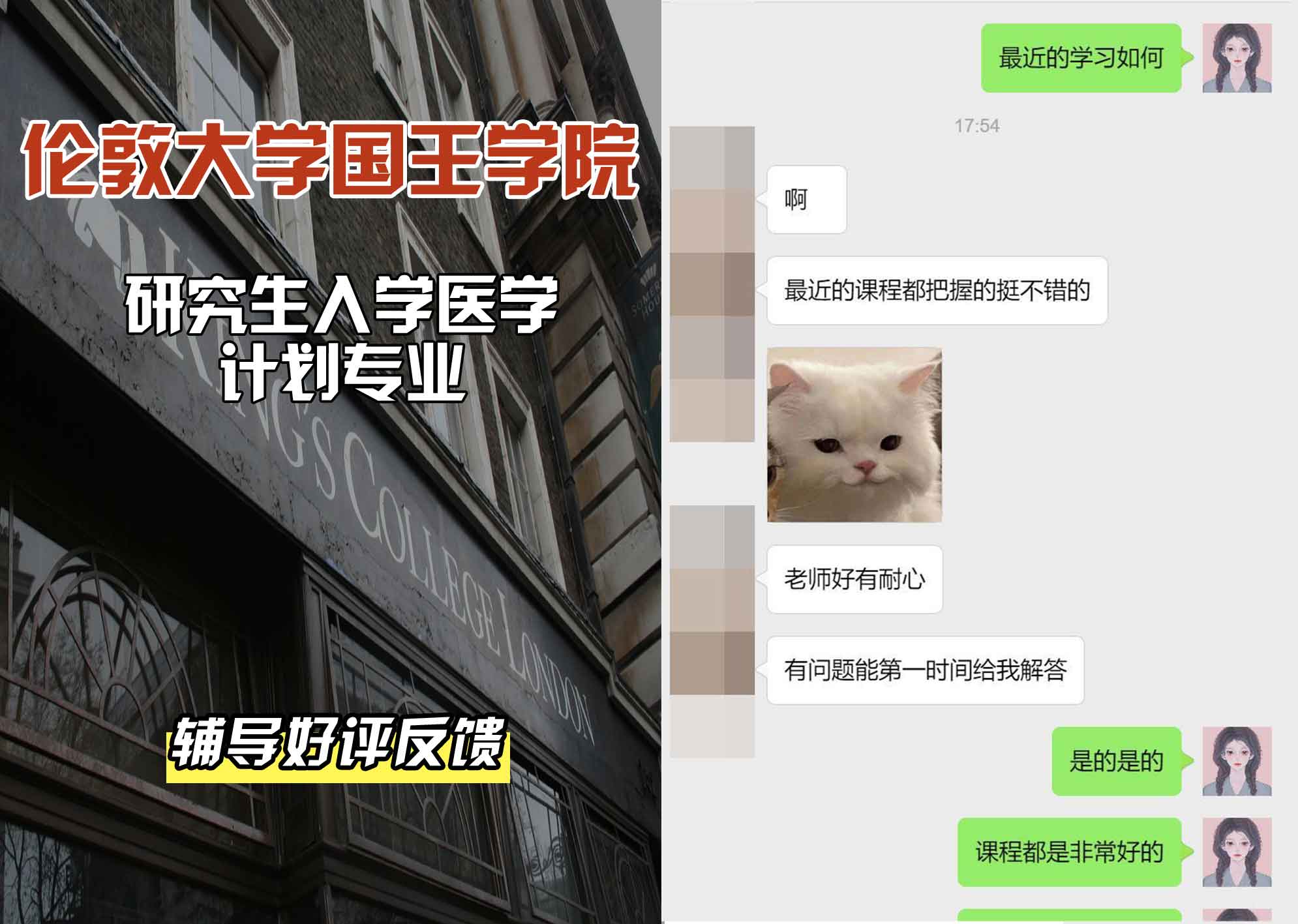 国王学院KCL研究生入学医学计划辅导好评反馈