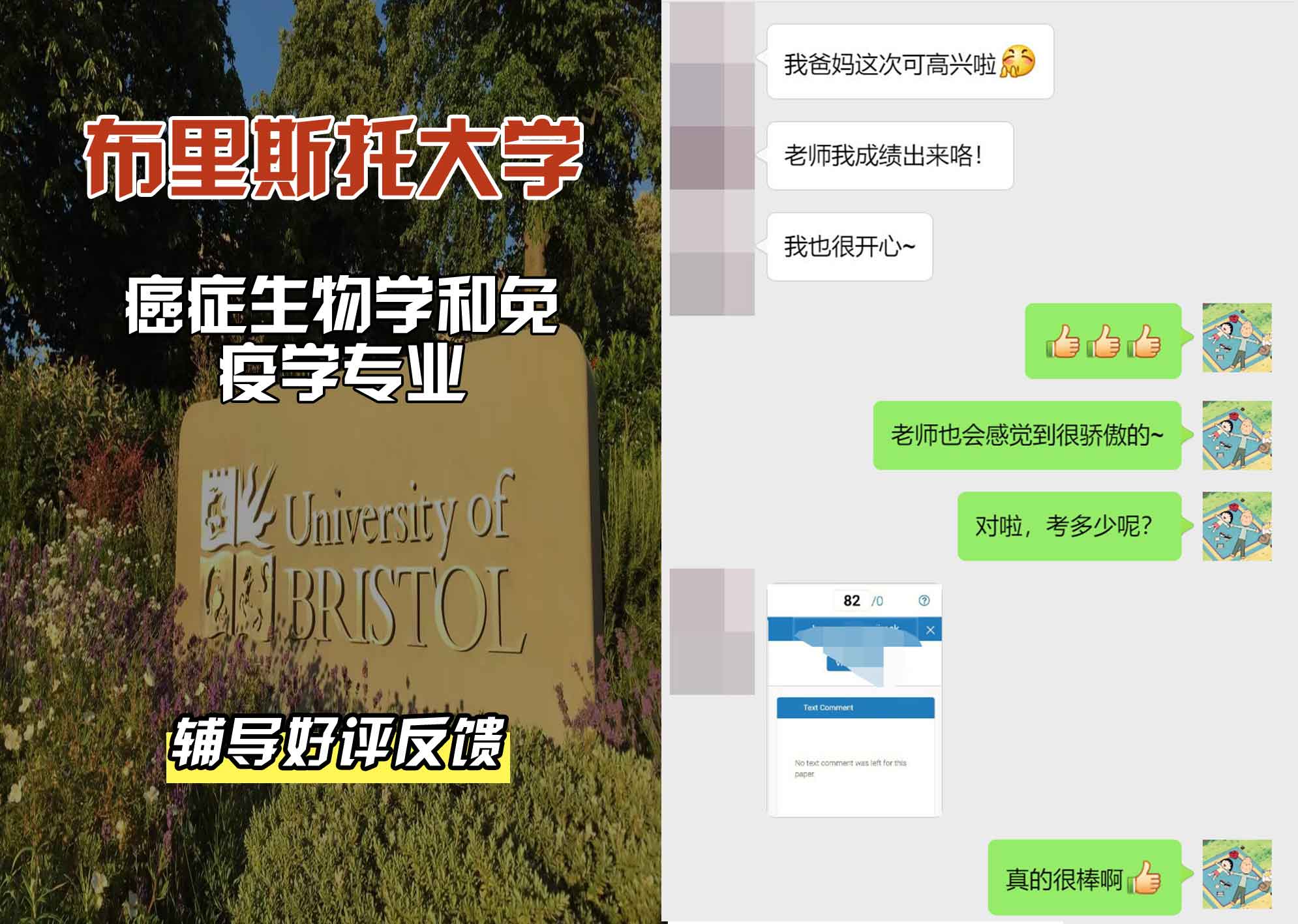 布里斯托大学布大癌症生物学和免疫学辅导好评反馈