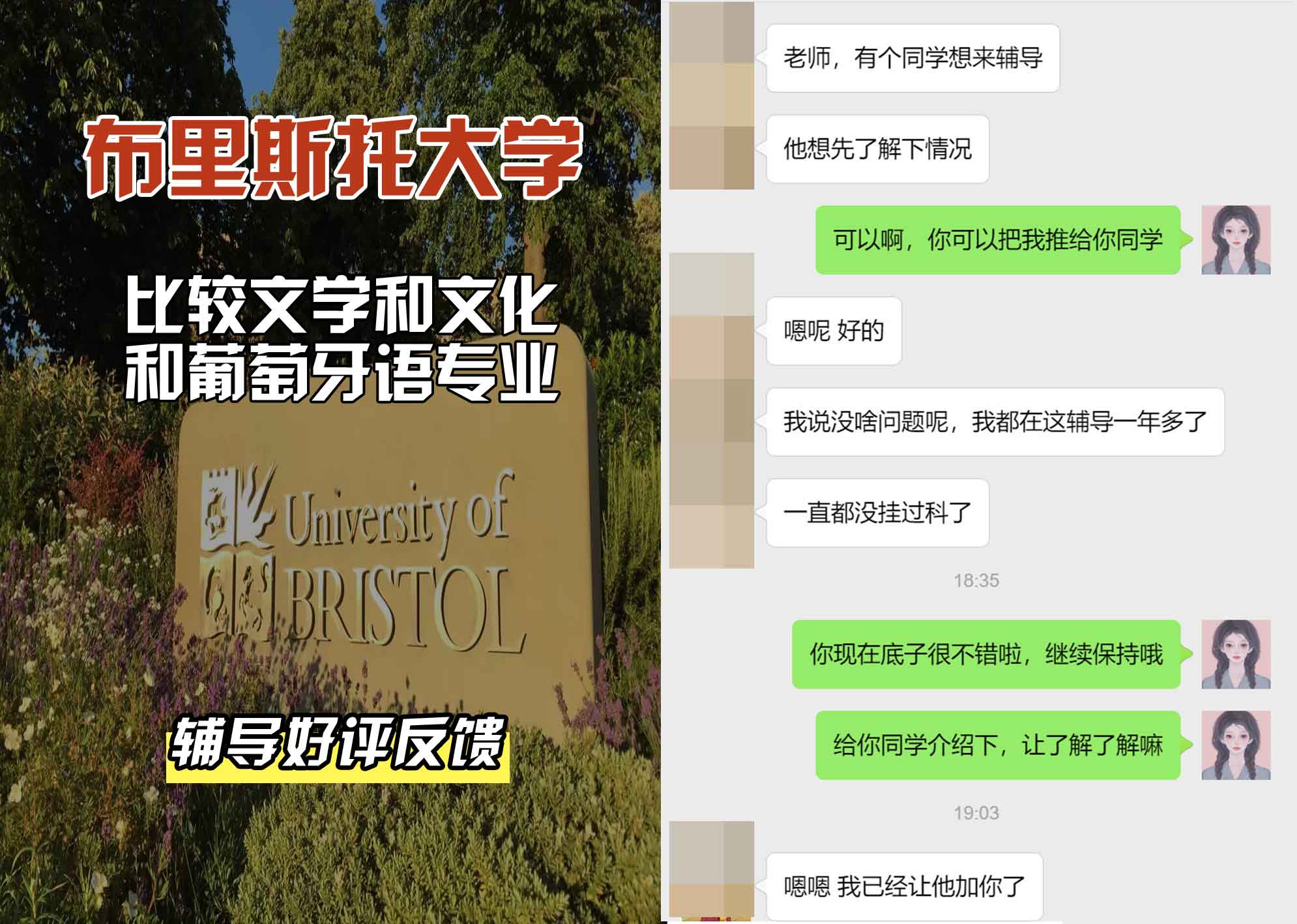 布里斯托大学布大比较文学和文化和葡萄牙语辅导好评反馈