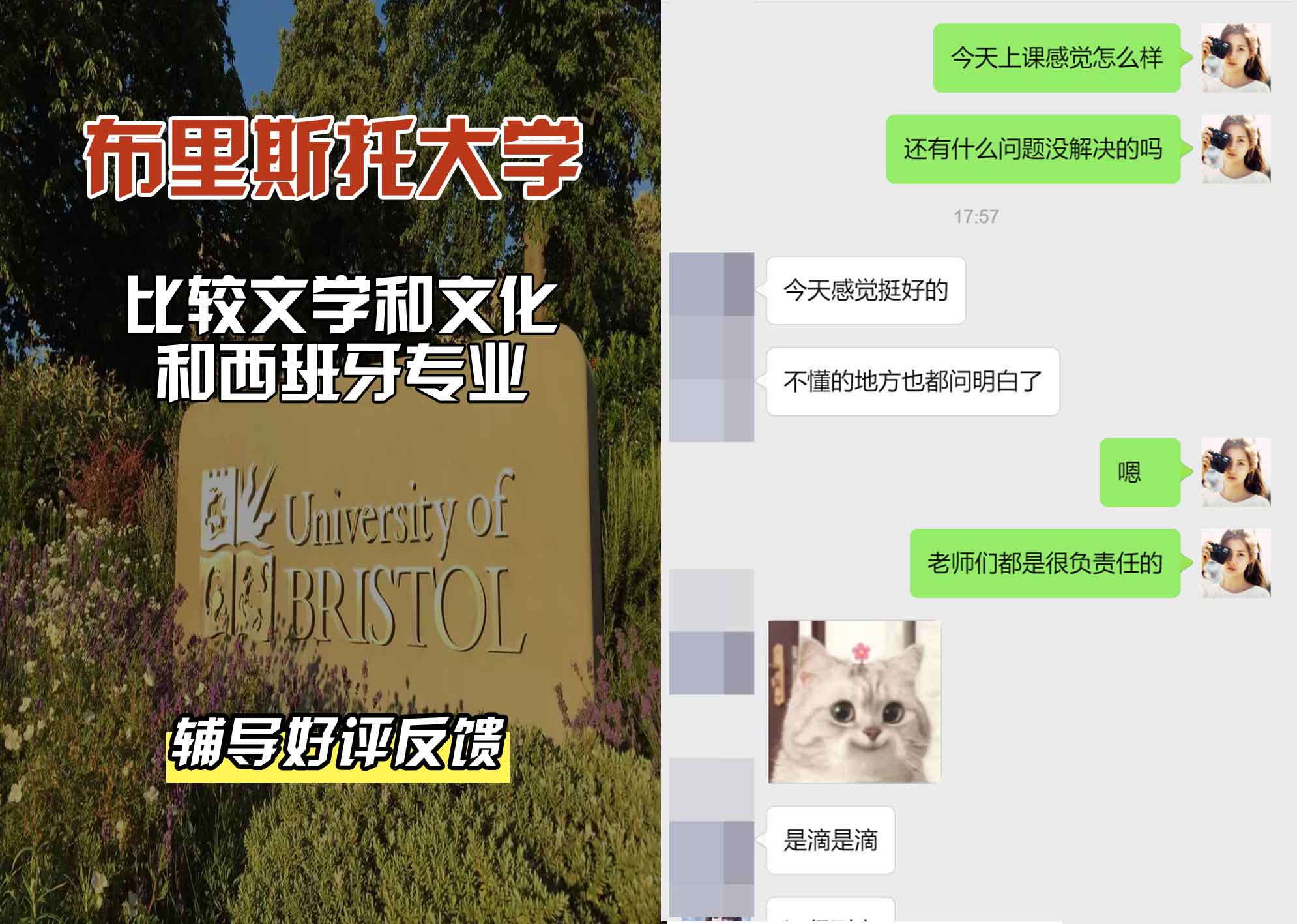 布里斯托大学布大比较文学和文化和西班牙辅导好评反馈