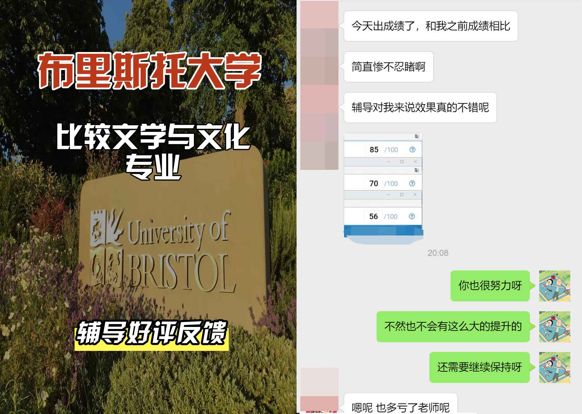布里斯托大学布大比较文学与文化辅导好评反馈