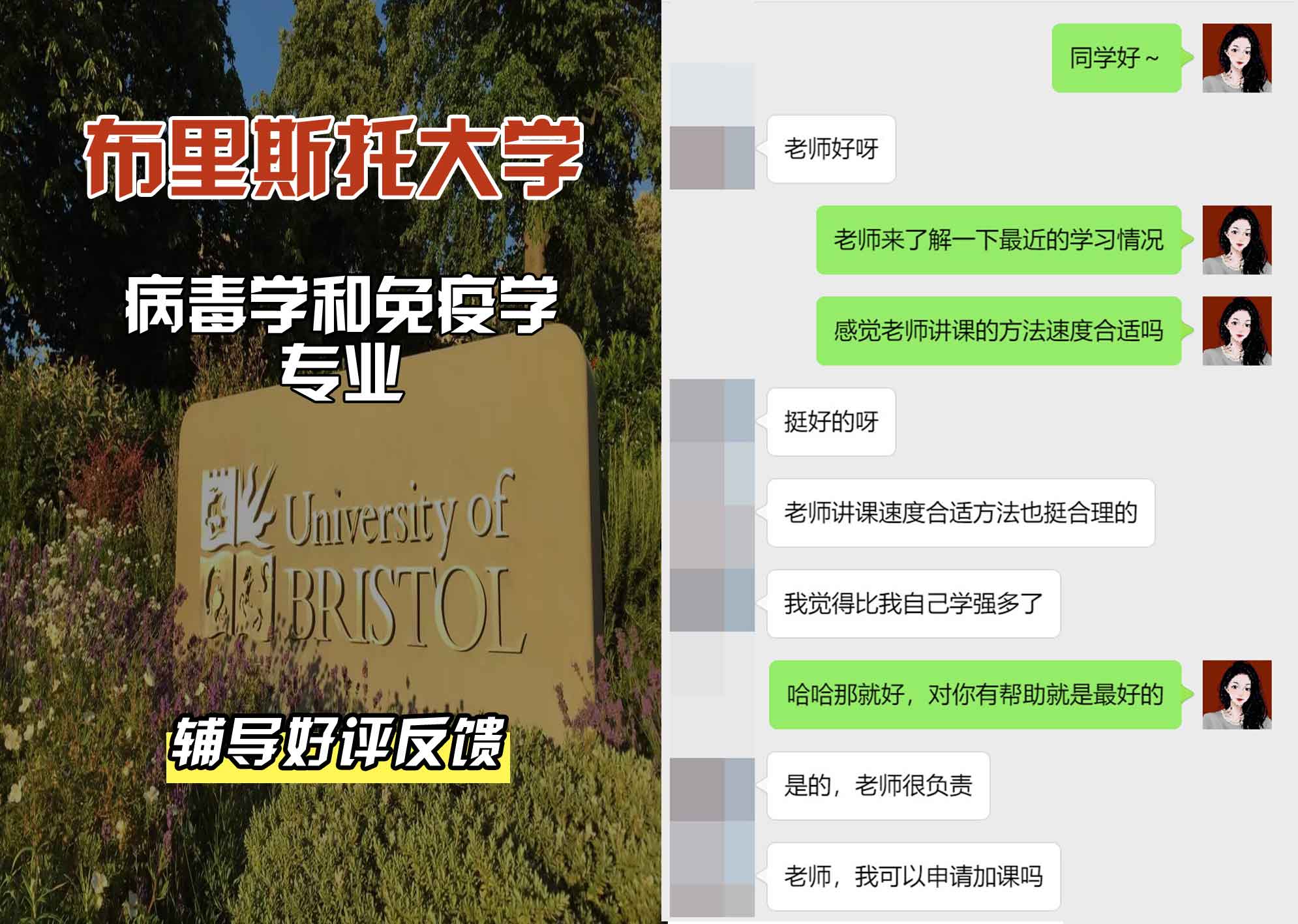 布里斯托大学布大病毒学和免疫学辅导好评反馈