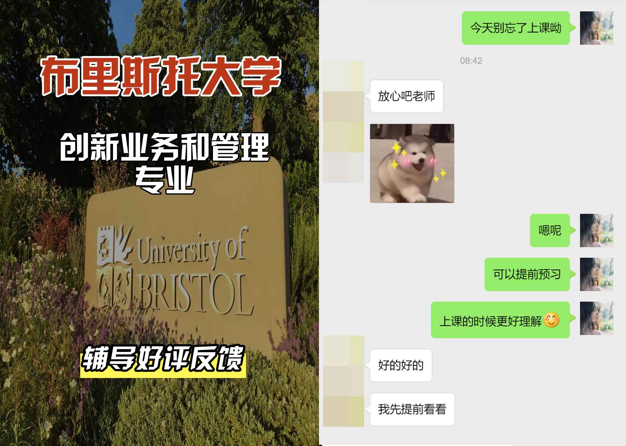 布里斯托大学布大创新业务和管理辅导好评反馈