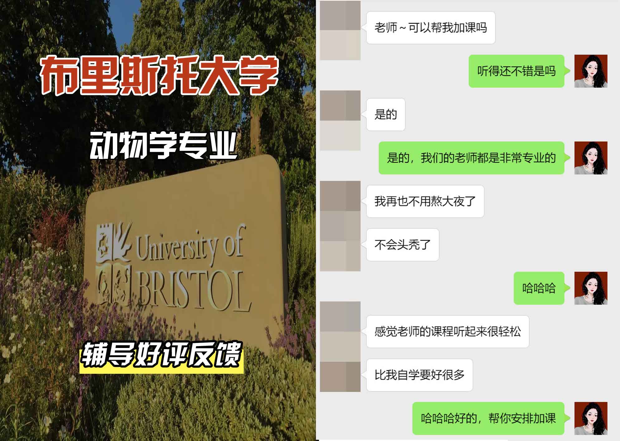 布里斯托大学布大动物学辅导好评反馈