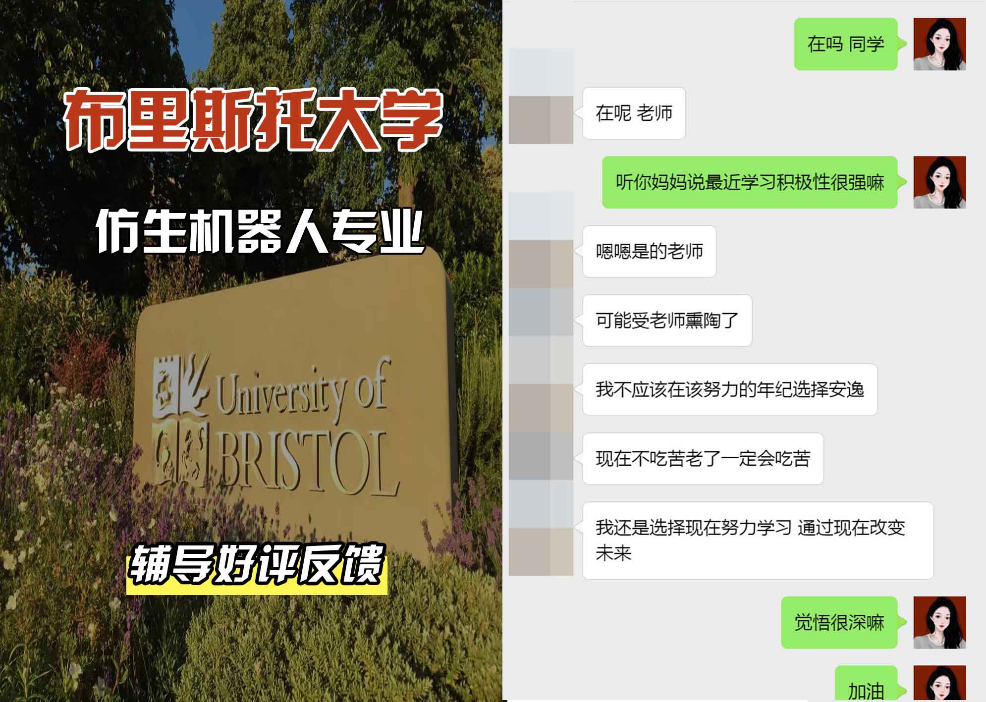 布里斯托大学布大仿生机器人辅导好评反馈