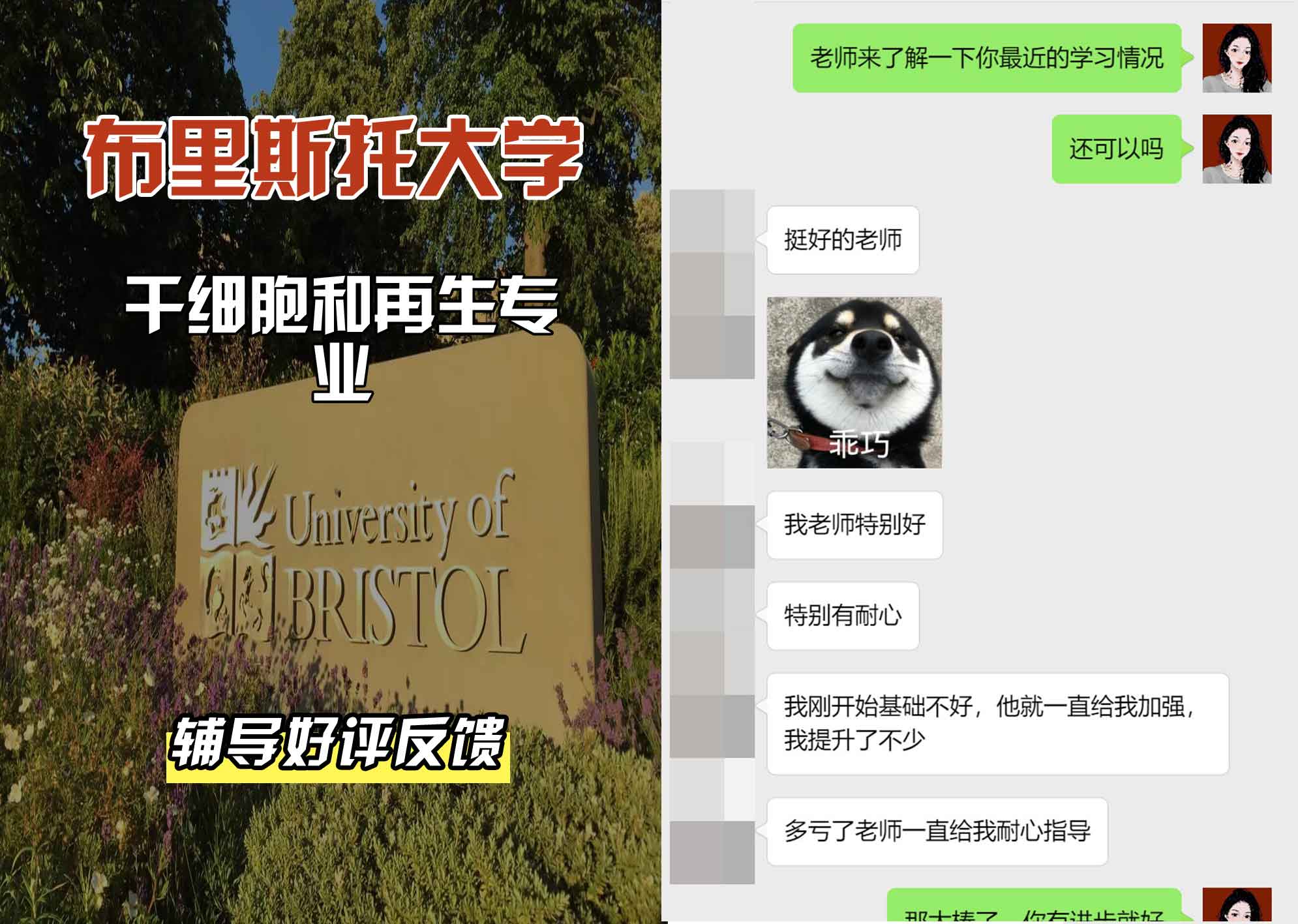 布里斯托大学布大干细胞和再生辅导好评反馈