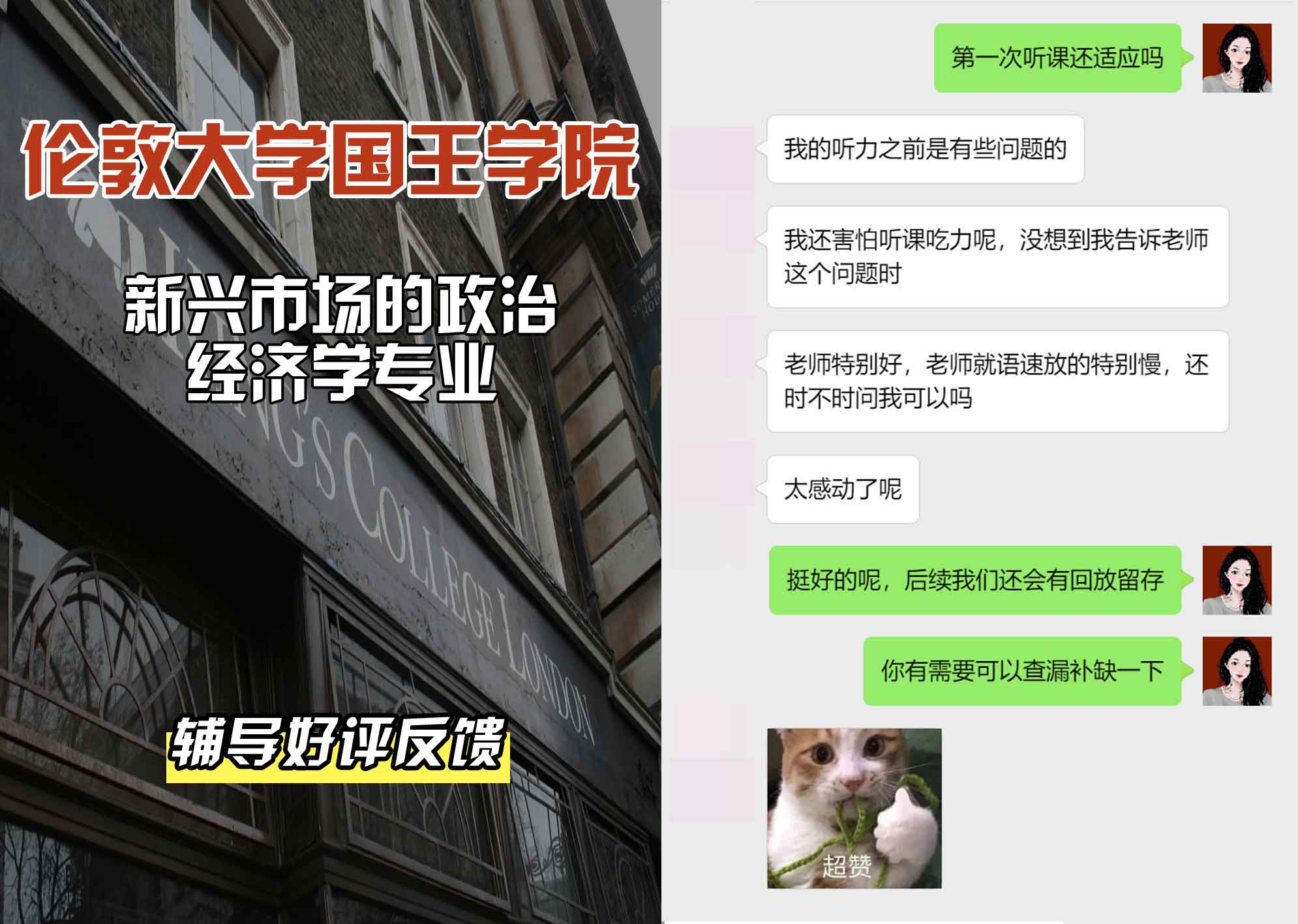 国王学院KCL新兴市场政治经济学辅导好评反馈