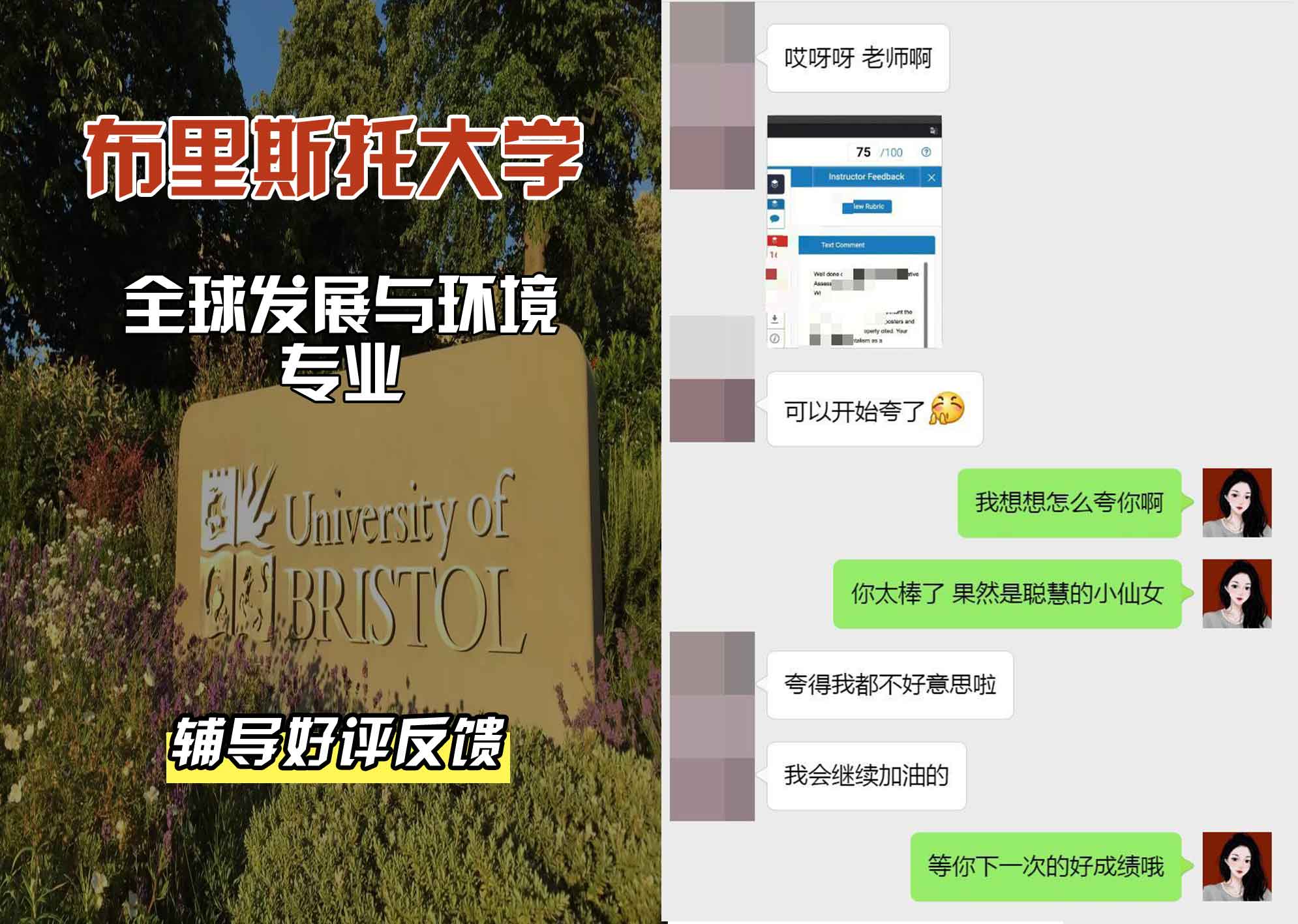 布里斯托大学布大全球发展与环境辅导好评反馈