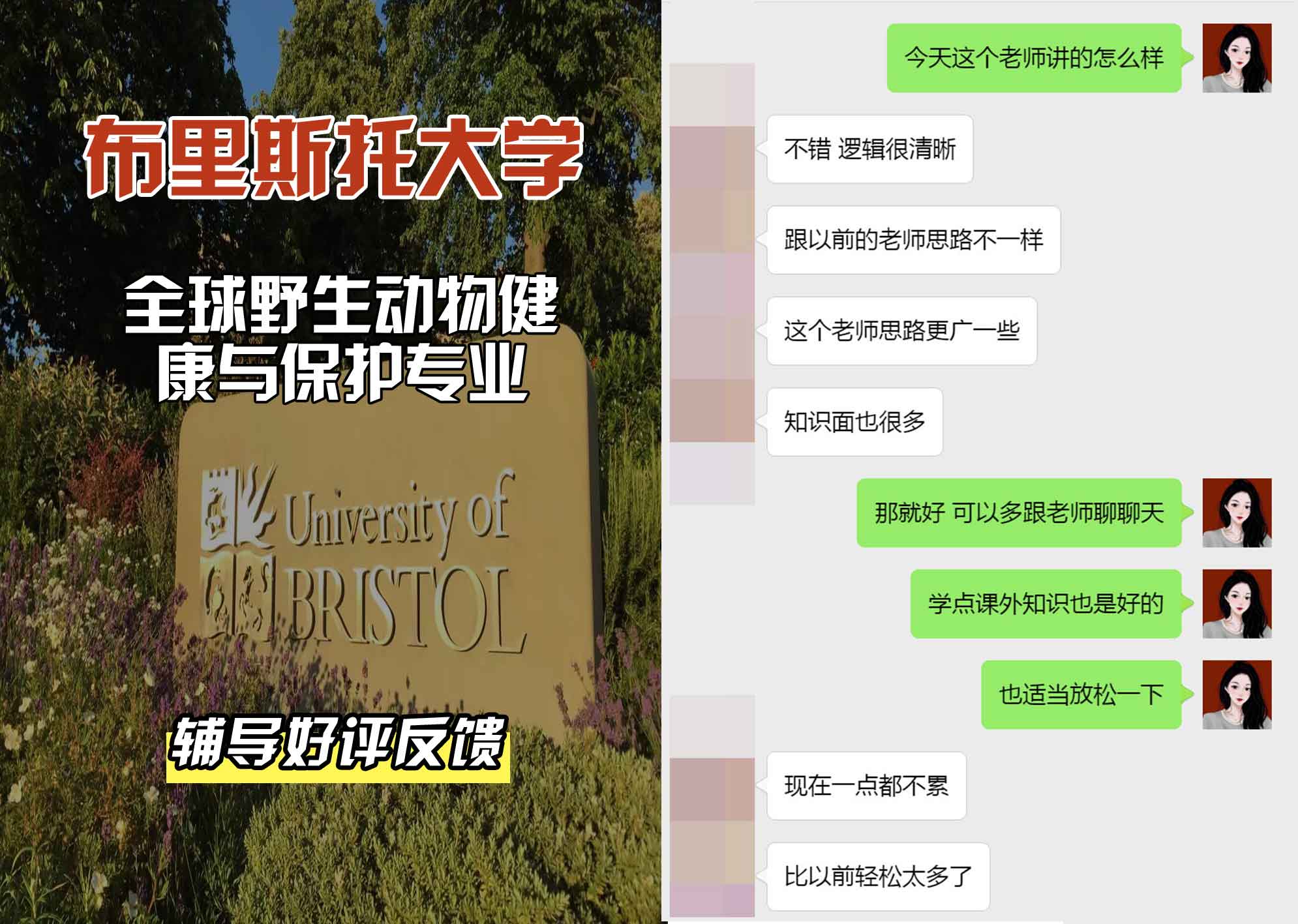 布里斯托大学布大全球野生动物健康与保护辅导好评反馈