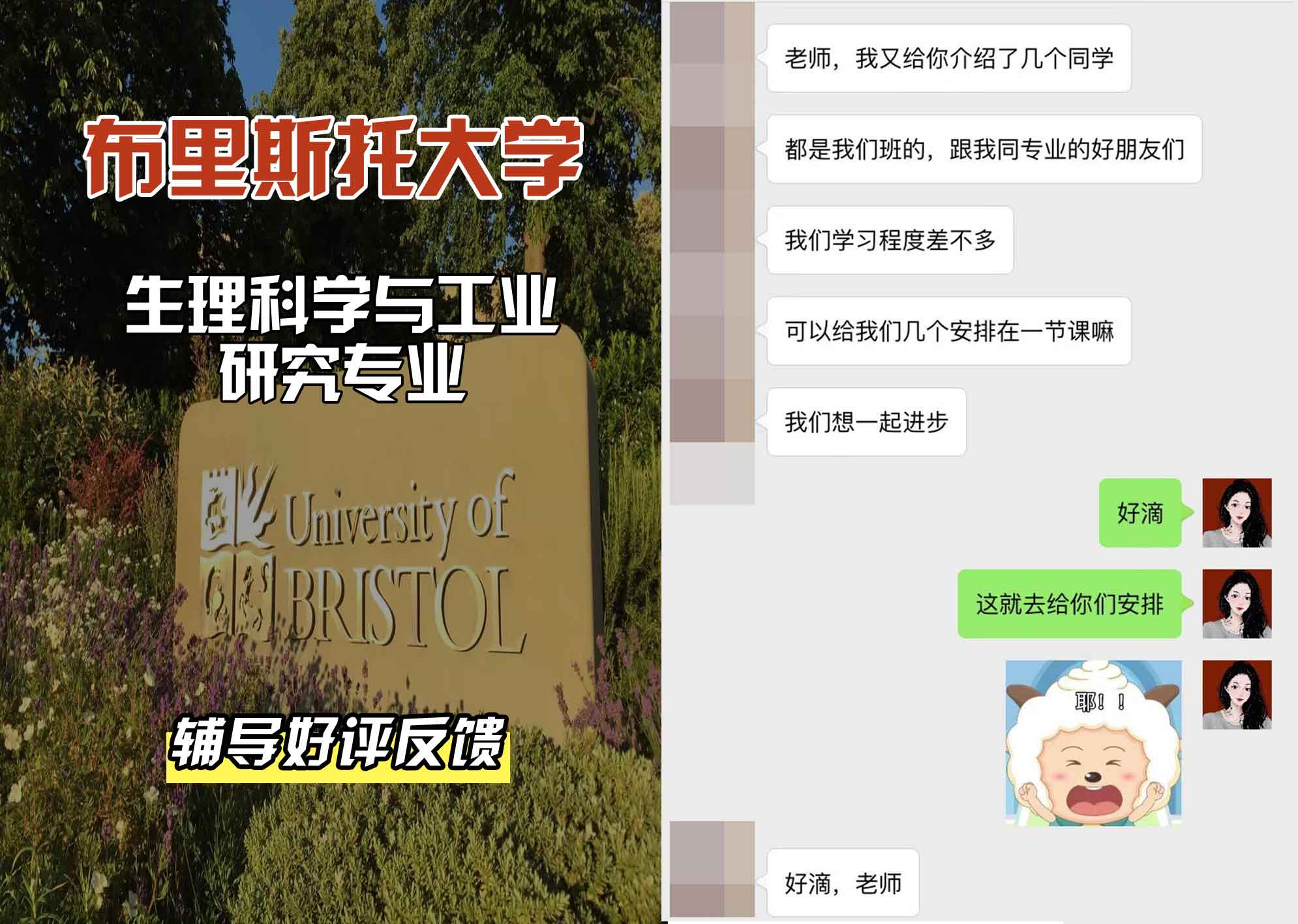 布里斯托大学布大生理科学与工业研究辅导好评反馈