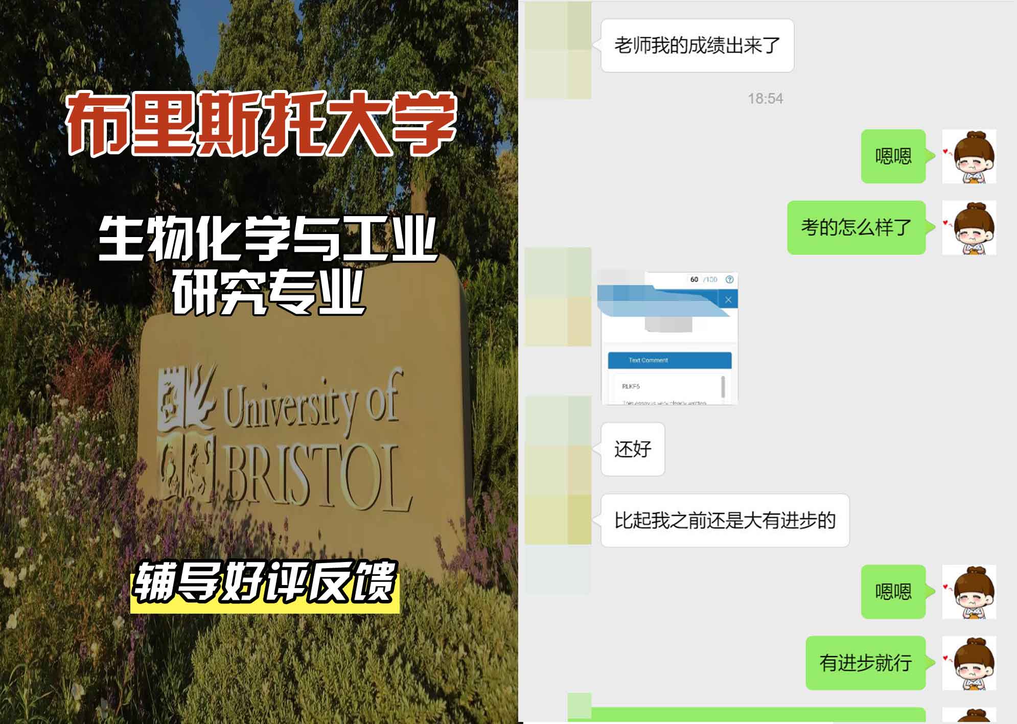 布里斯托大学布大生物化学与工业研究辅导好评反馈