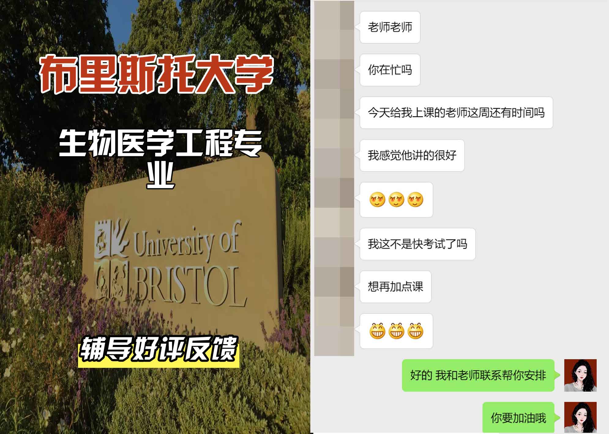布里斯托大学布大生物医学工程辅导好评反馈