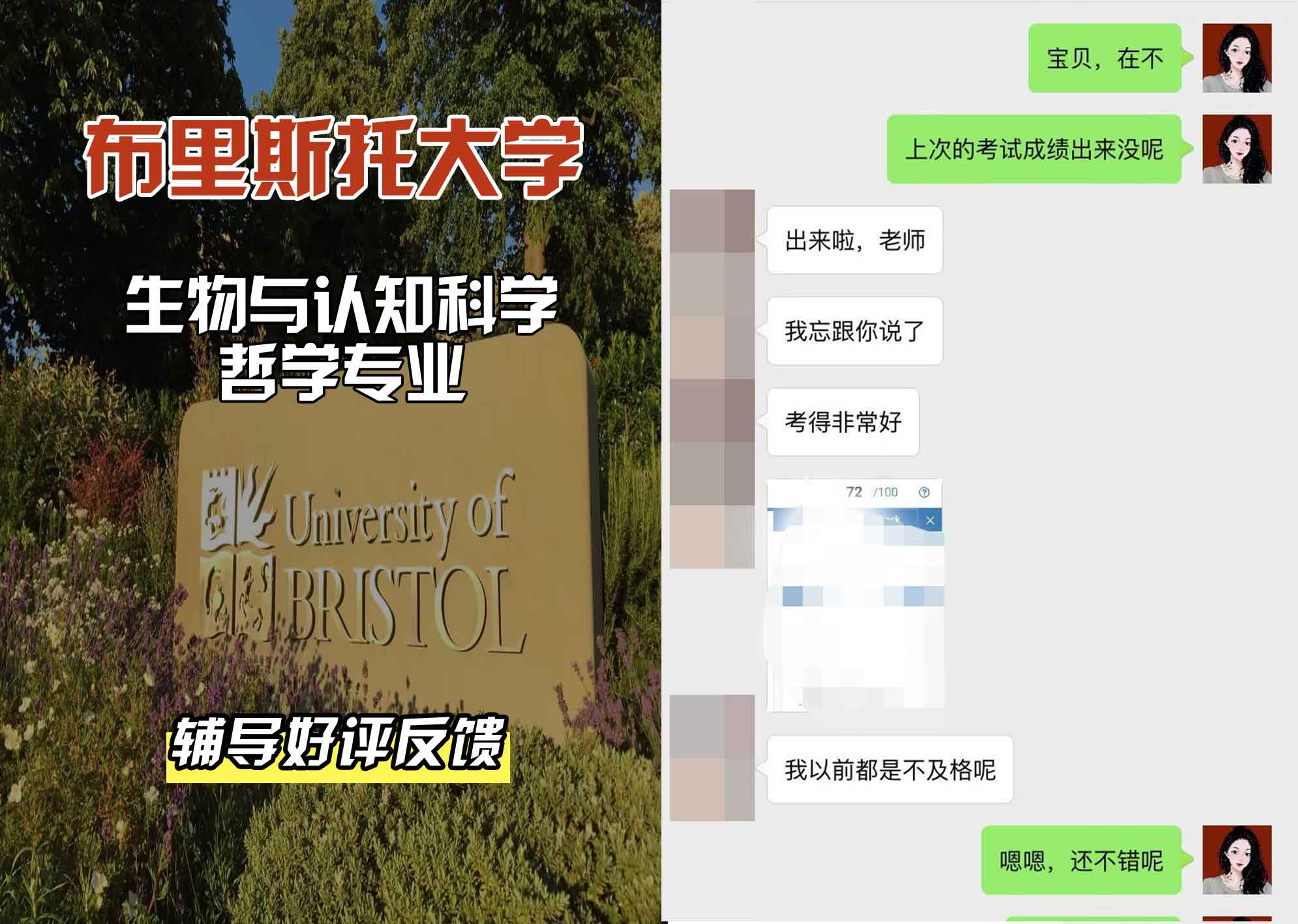 布里斯托大学布大生物与认知科学哲学辅导好评反馈