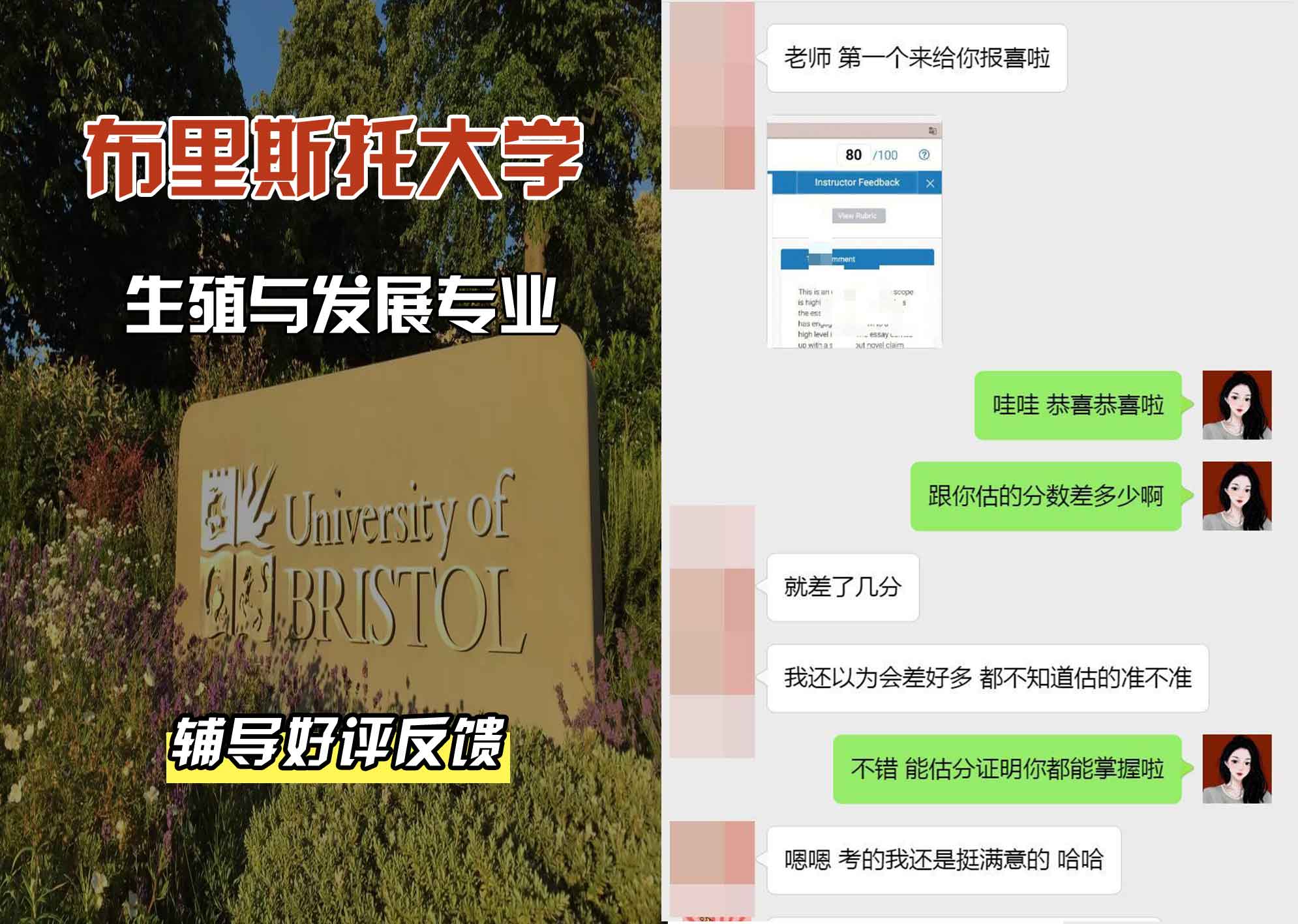 布里斯托大学布大生殖与发展辅导好评反馈