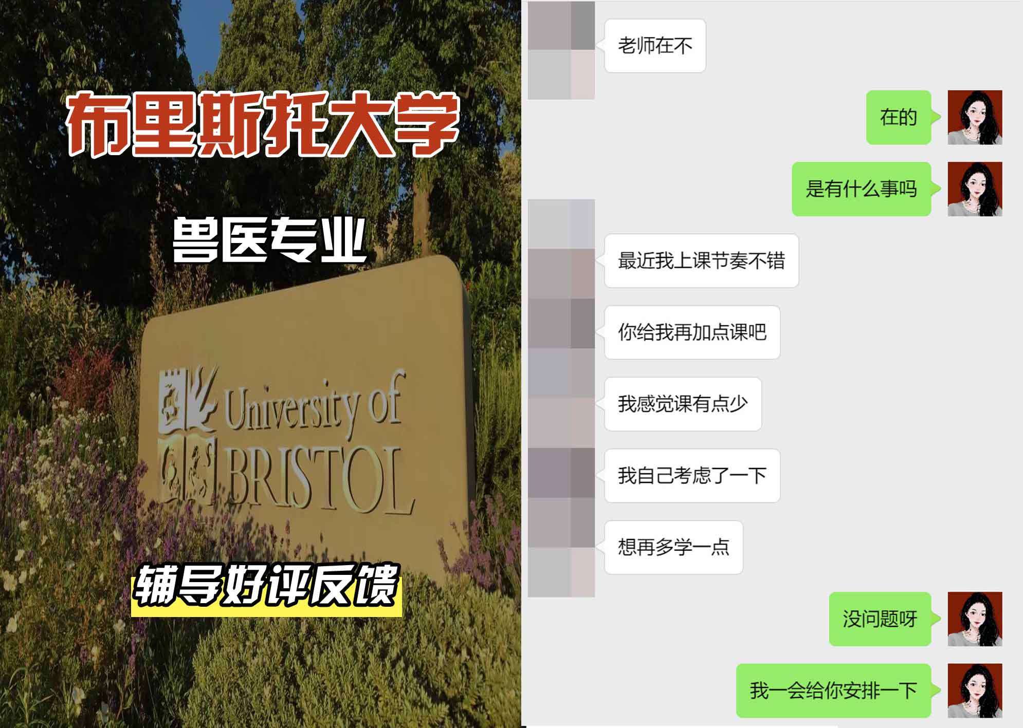 布里斯托大学布大兽医辅导好评反馈