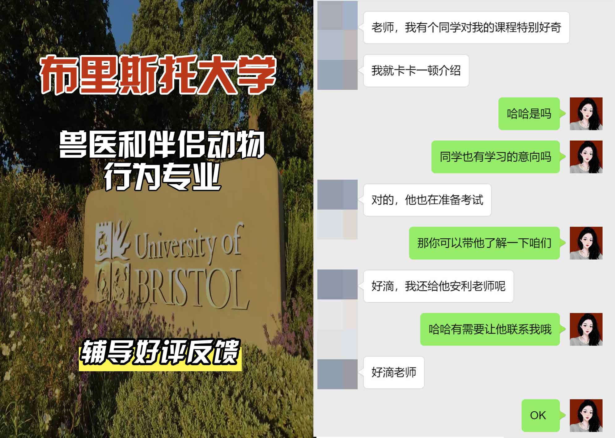 布里斯托大学布大兽医和伴侣动物行为辅导好评反馈