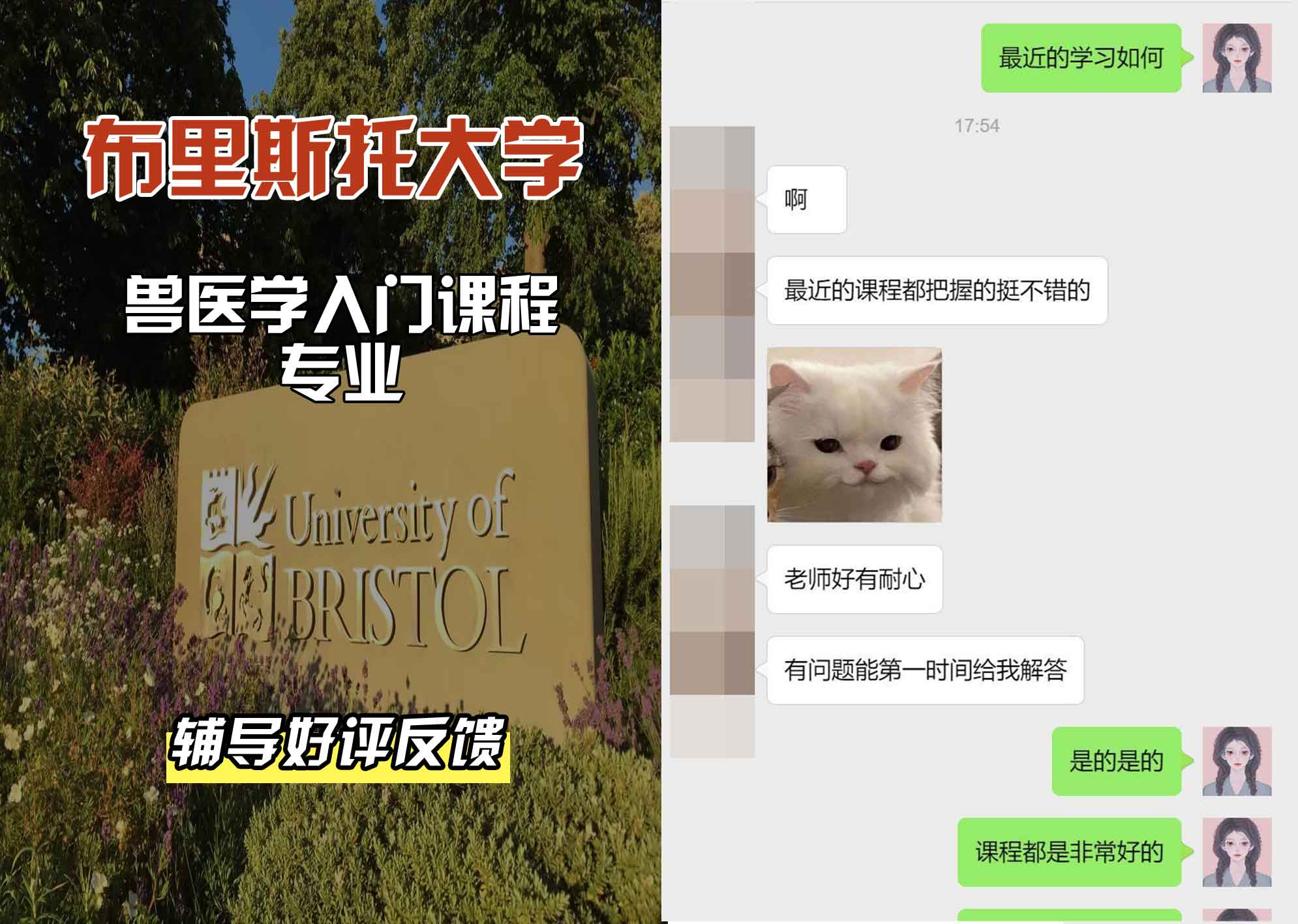 布里斯托大学布大兽医学入门课程辅导好评反馈