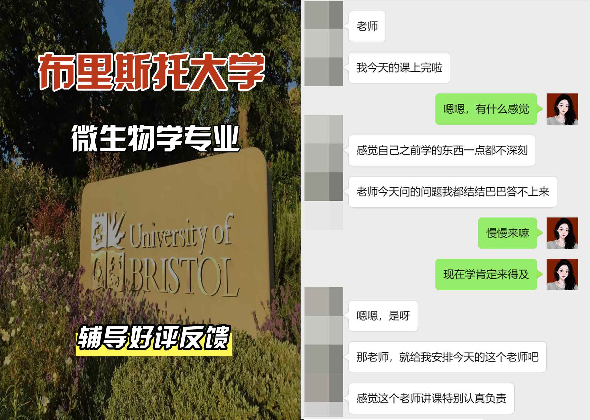 布里斯托大学布大微生物学辅导好评反馈