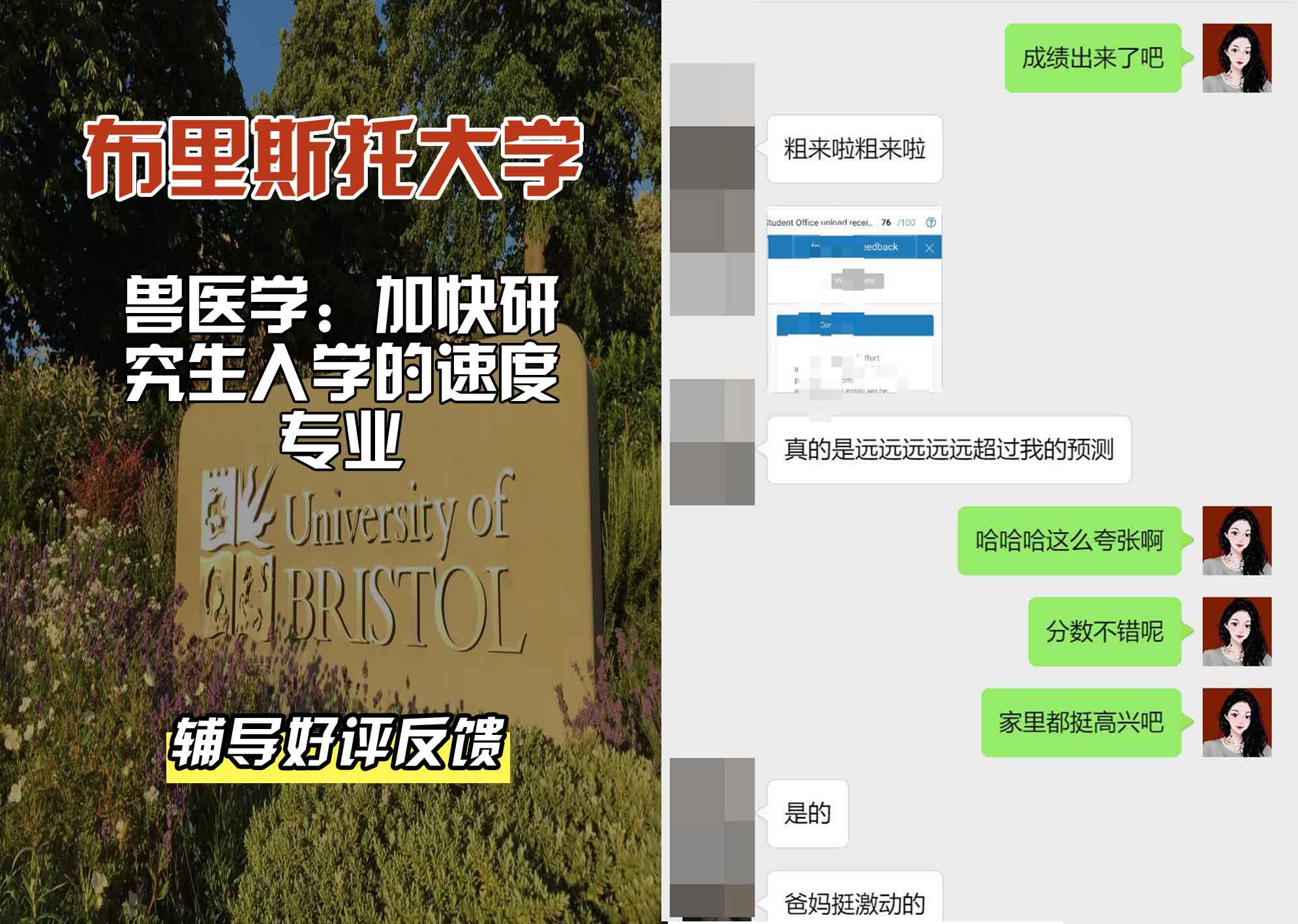 布里斯托大学布大兽医科学：加快研究生入学的速度辅导好评反馈