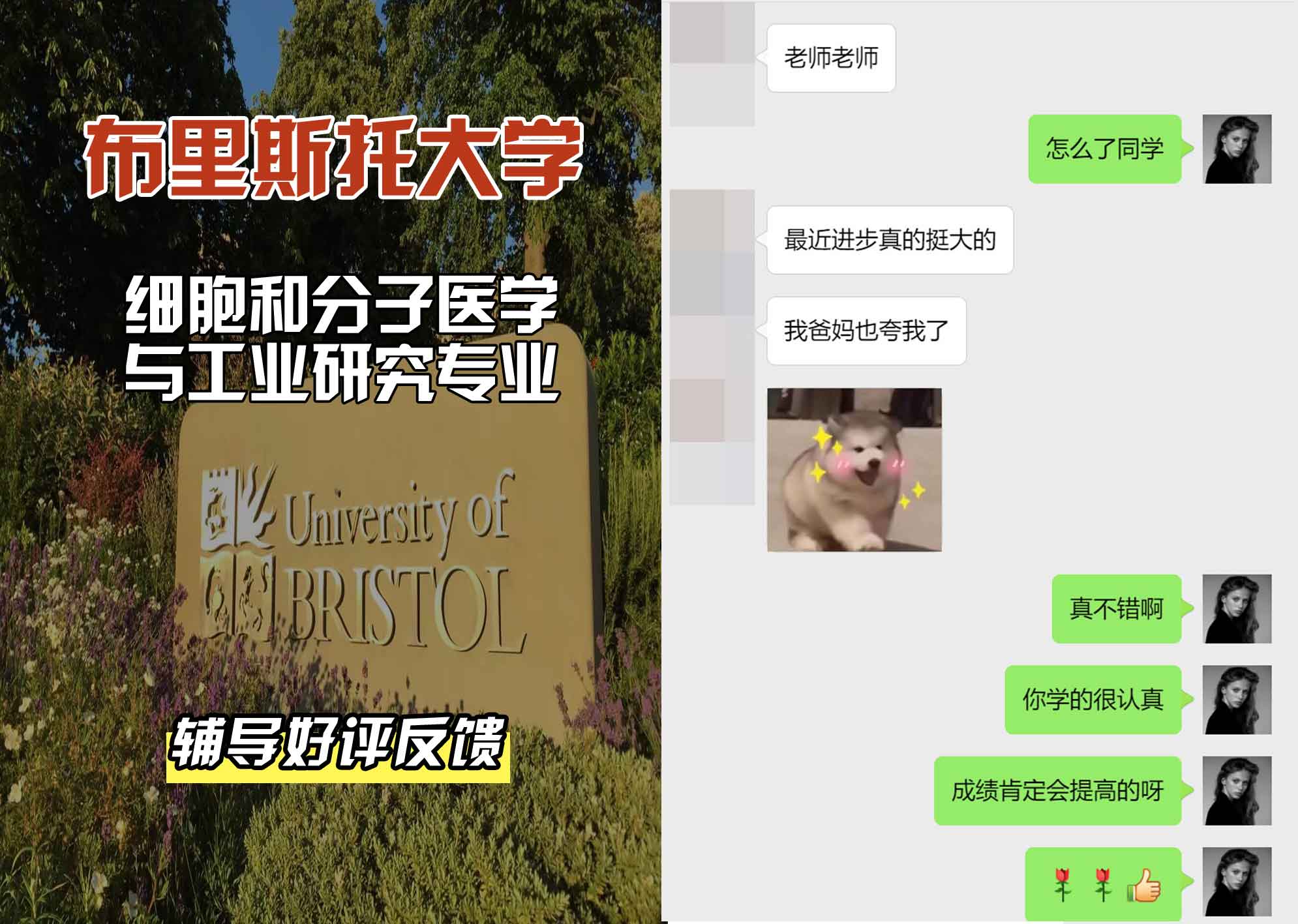 布里斯托大学布大细胞和分子医学与工业研究辅导好评反馈