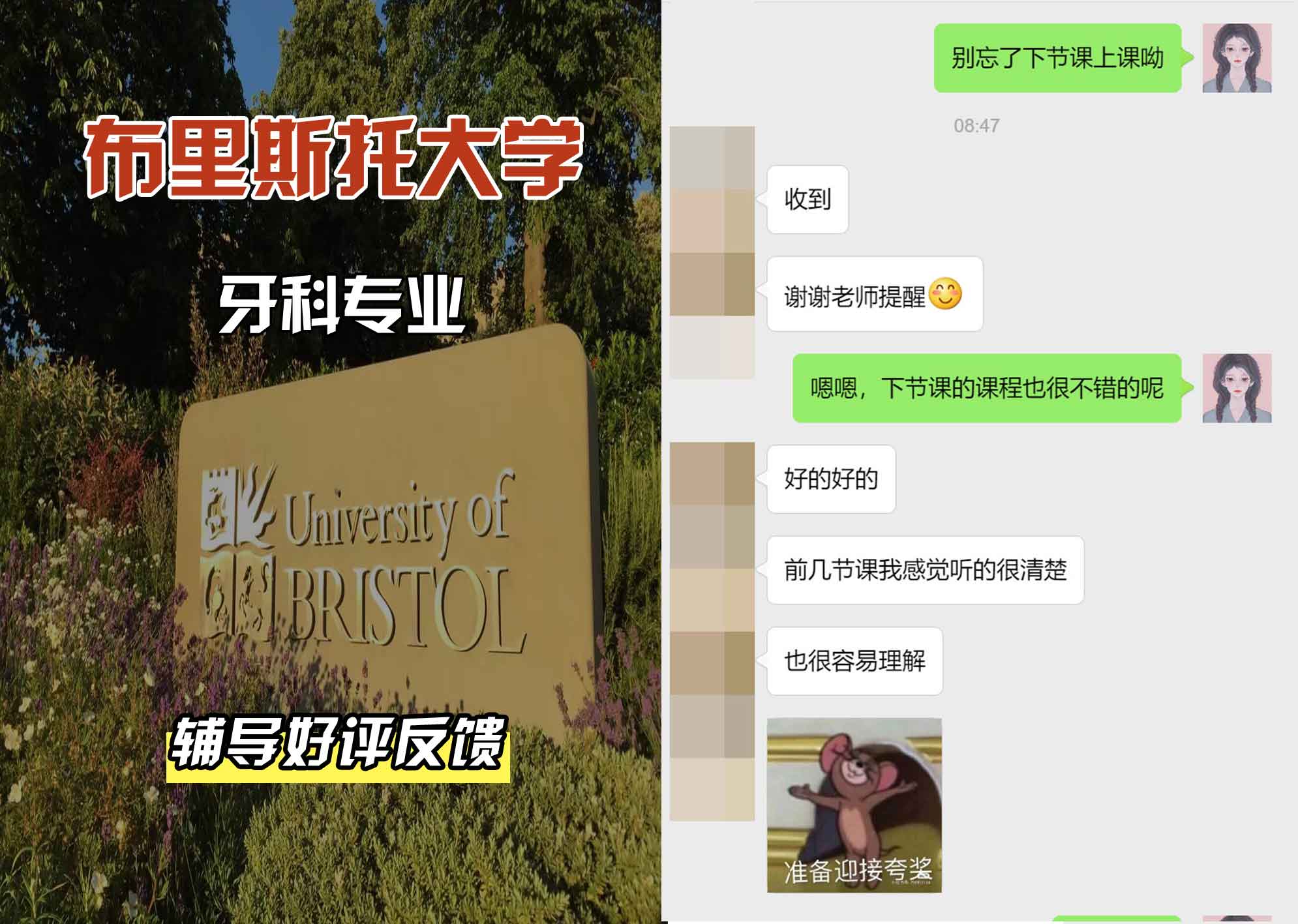 布里斯托大学布大牙科辅导好评反馈