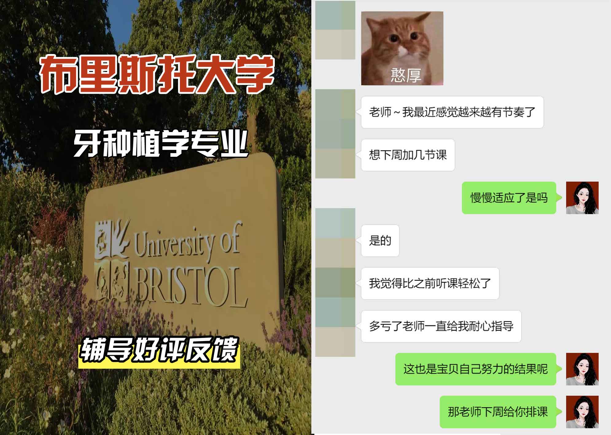 布里斯托大学布大牙种植学辅导好评反馈